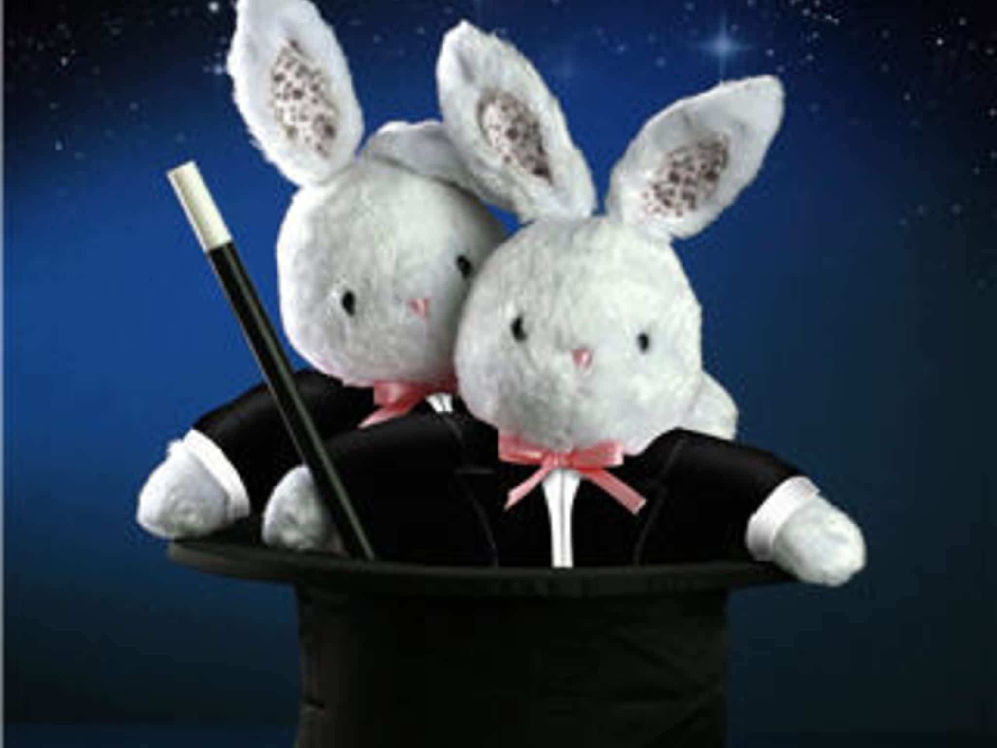 photo Edmonton Magic