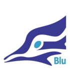 Bluejay Concrete - Logo