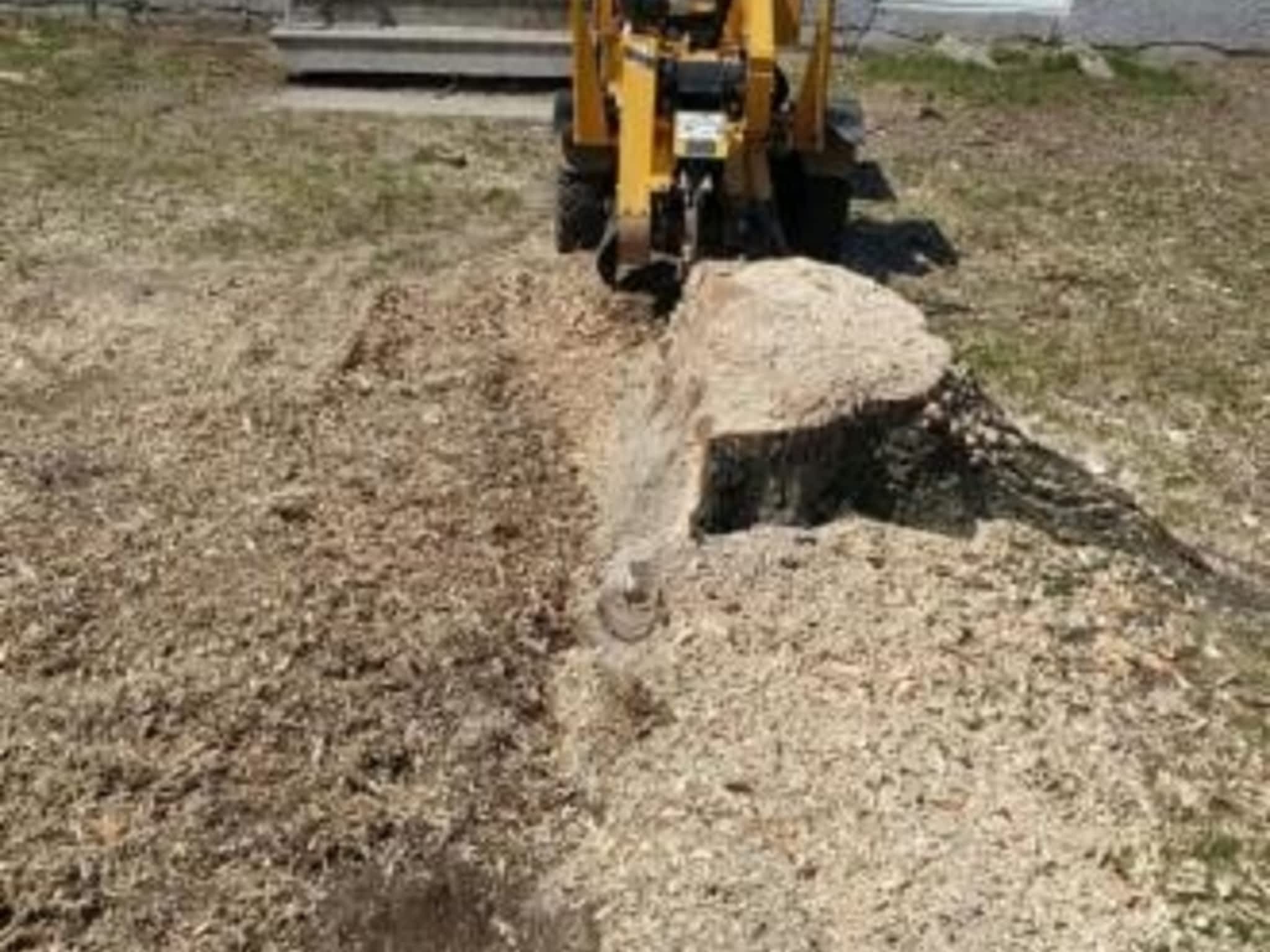 photo Émondage Félix Burelle