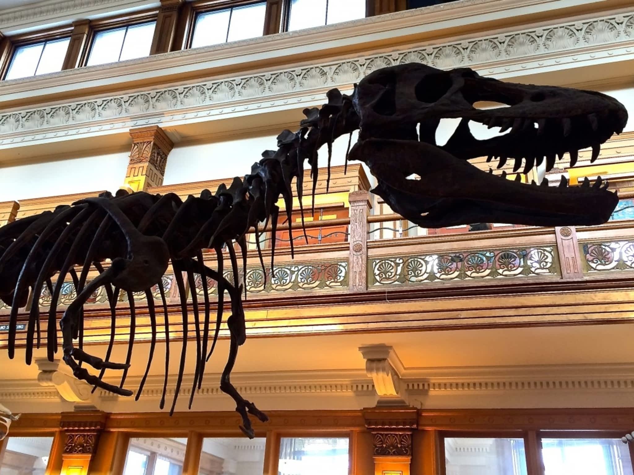 photo RedPath Museum