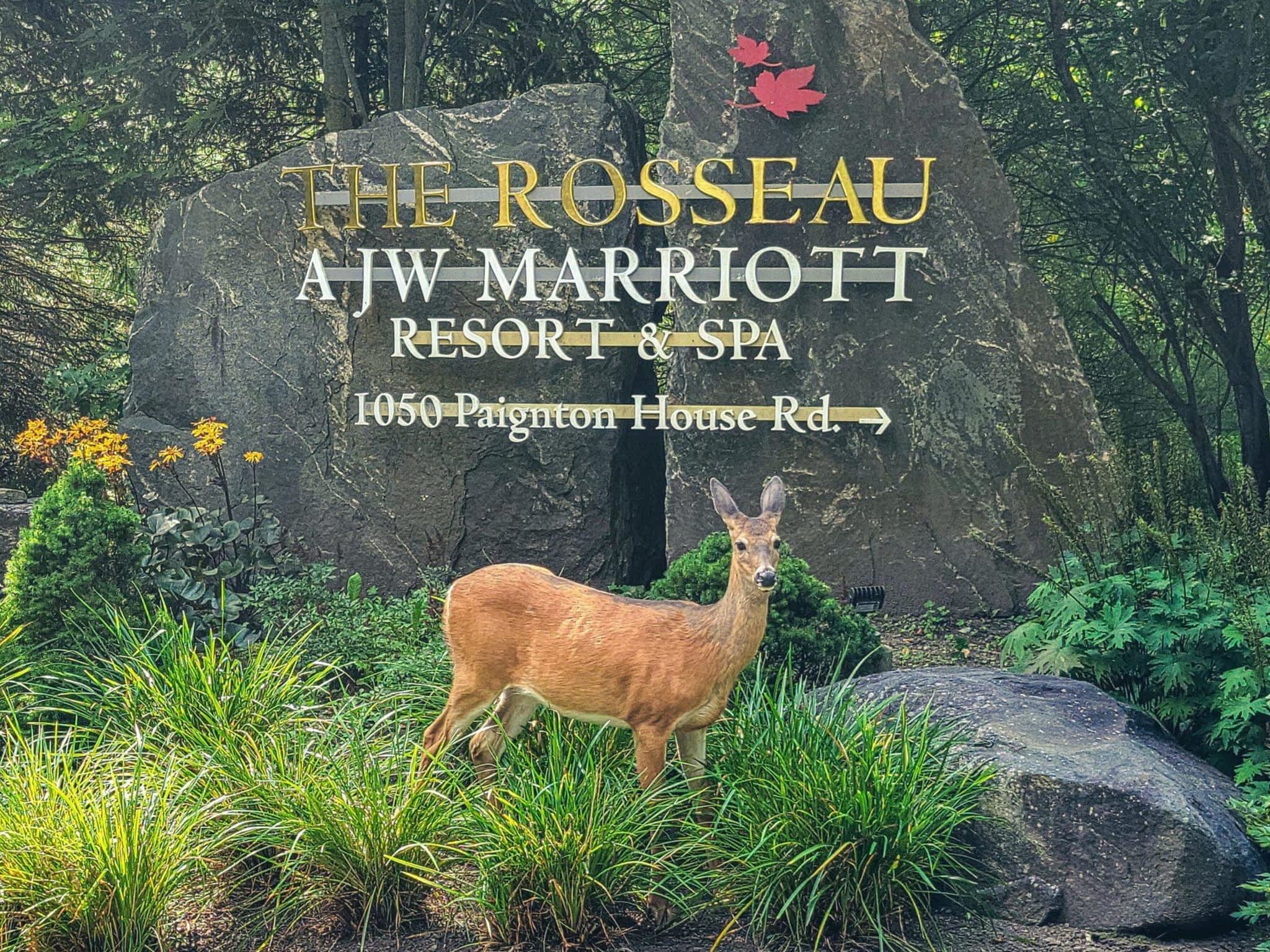 photo JW Marriott The Rosseau Muskoka Resort & Spa