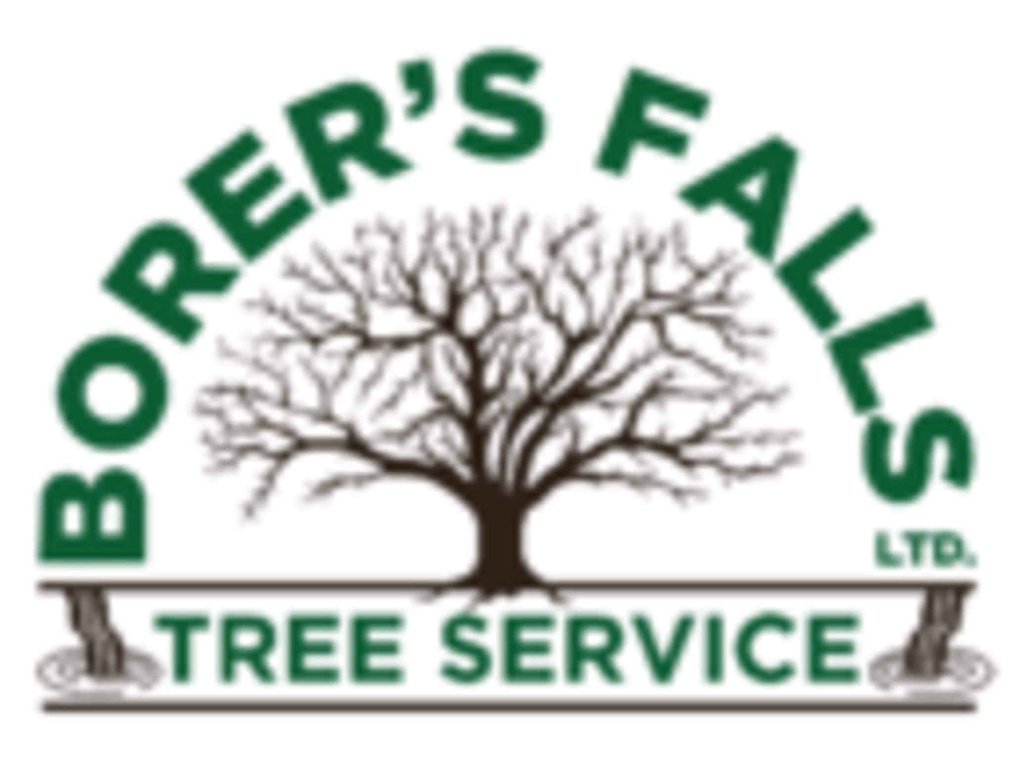 photo Borer's Falls Tree Service