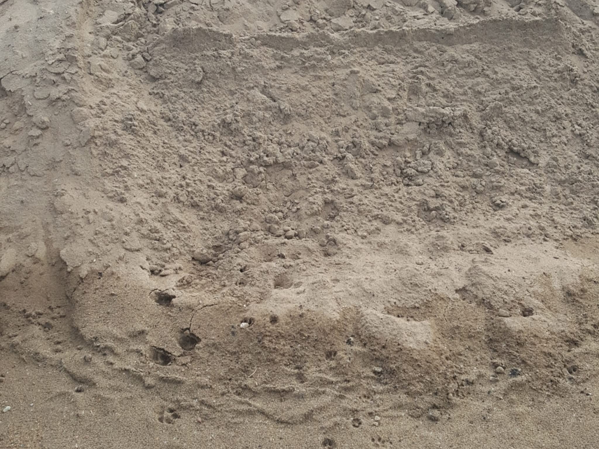 photo Wetaskiwin Hydroseed