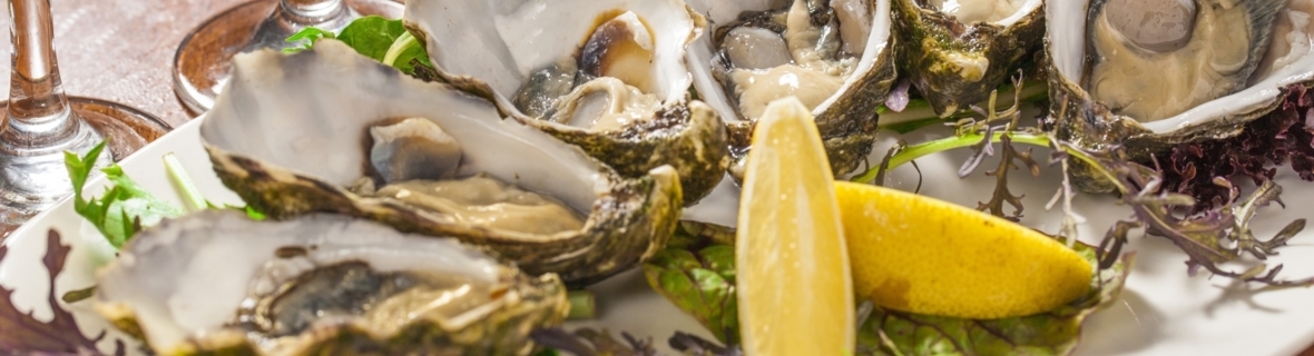 Halifax oyster bars: Eat, slurp and be merry