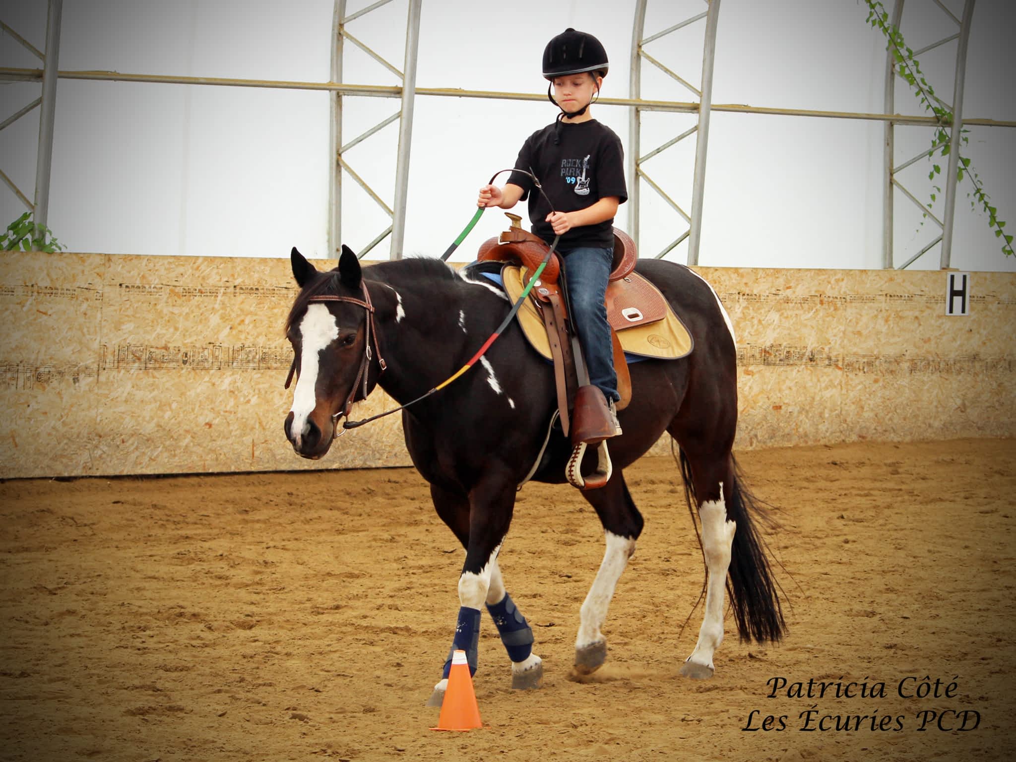 photo Les Écuries Pcd