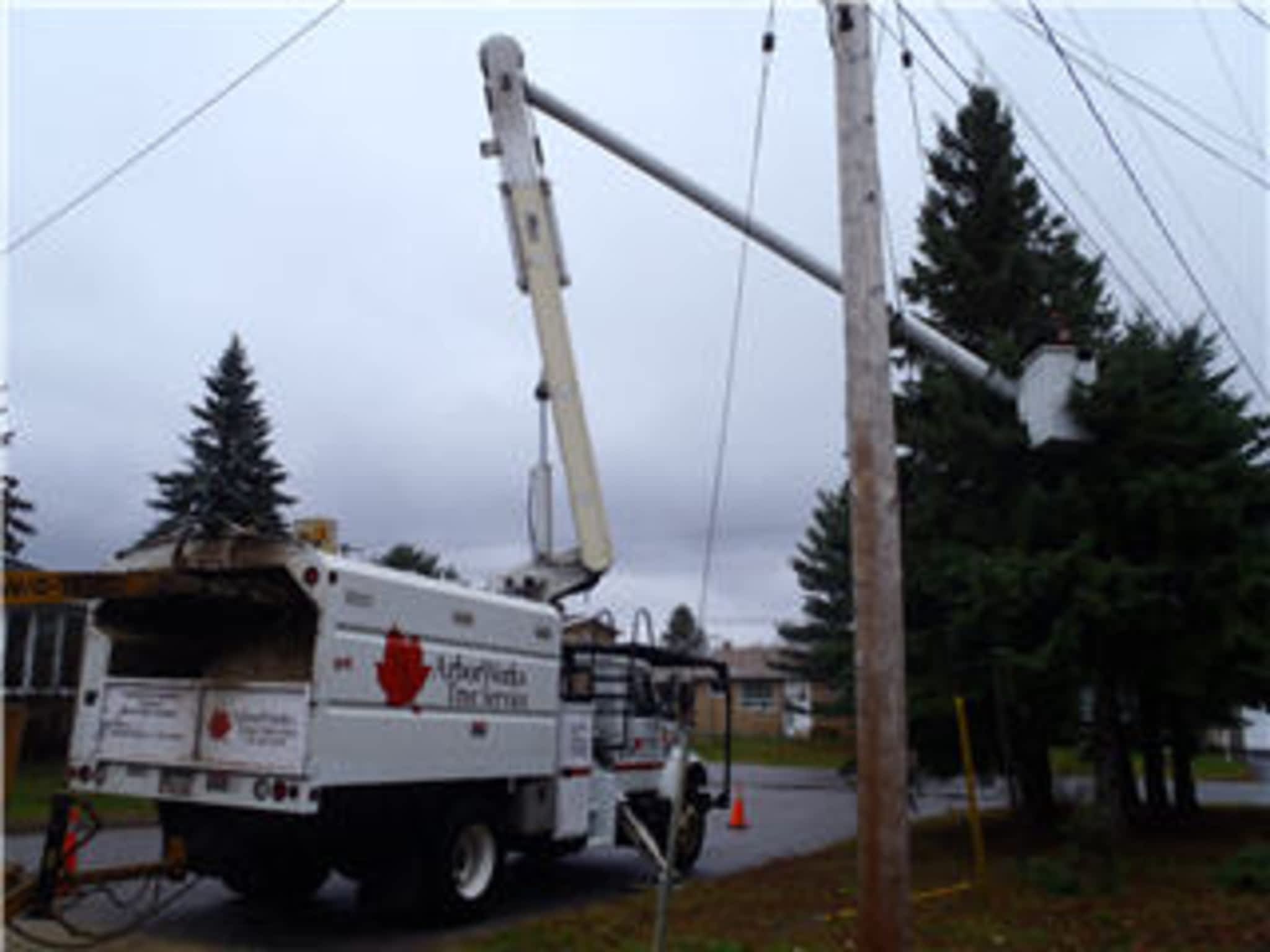 photo Arborworks Tree Service