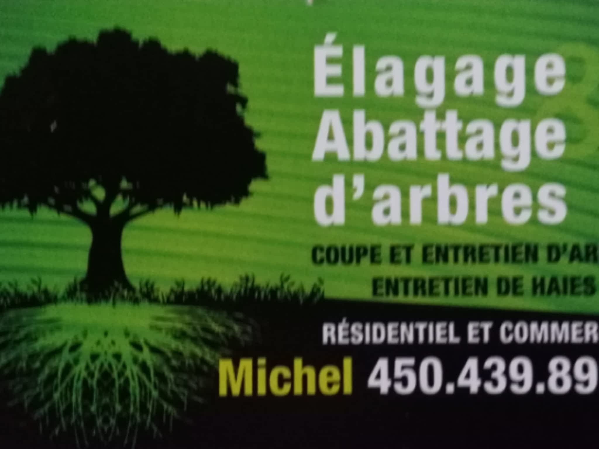 photo Sainte-Julienne's Tree Pruning and Felling