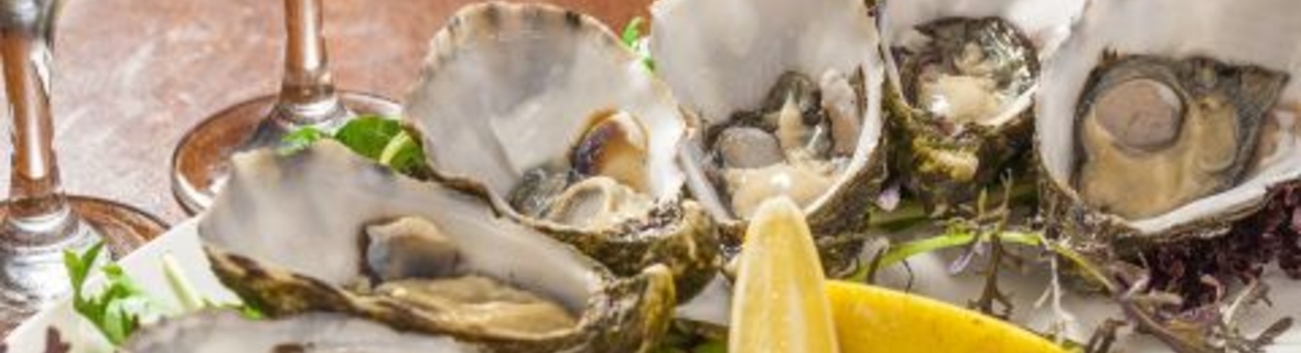 Oyster Bars in Calgary