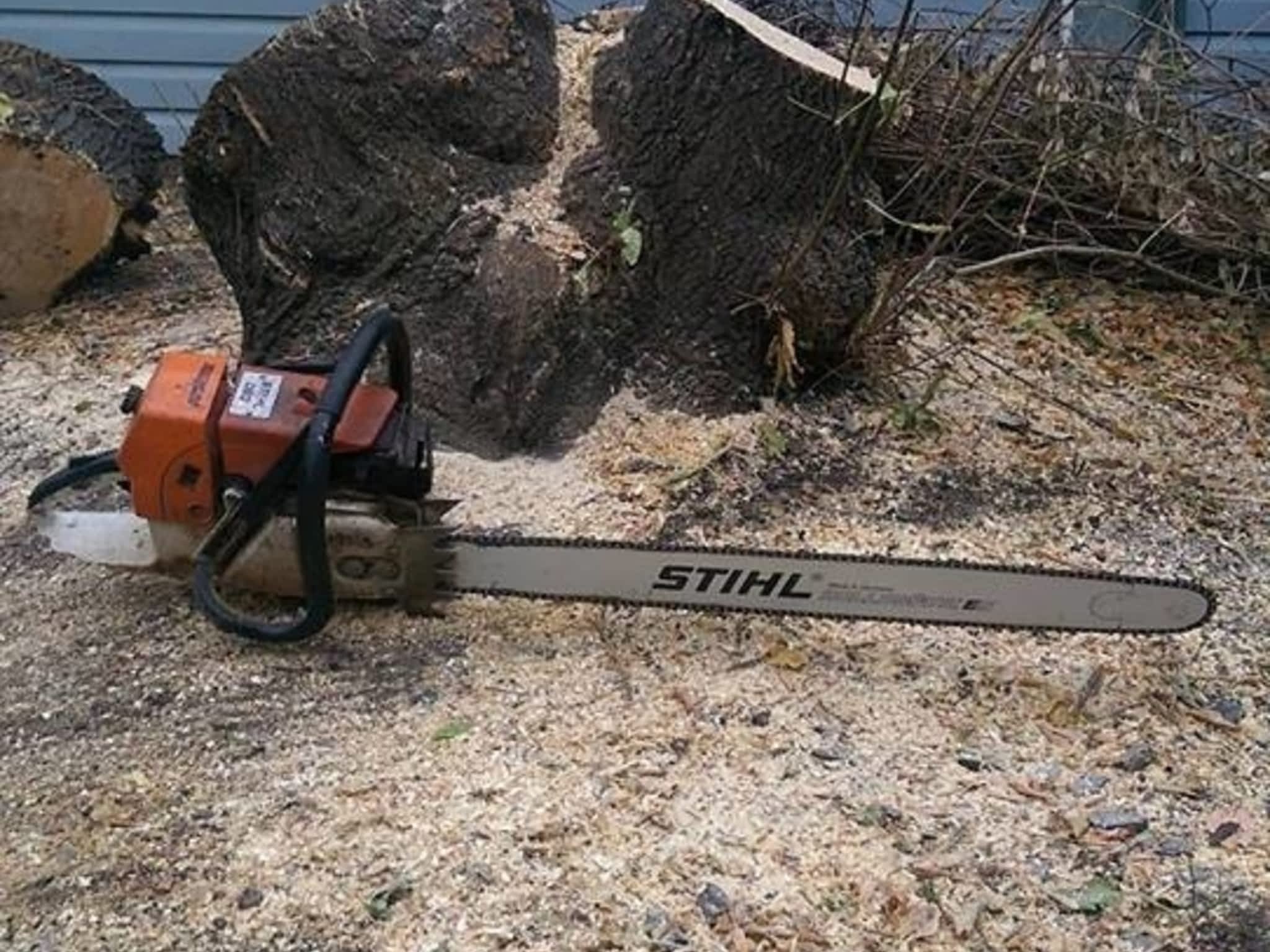 photo Stubborn Stump Grinding and Tree Care