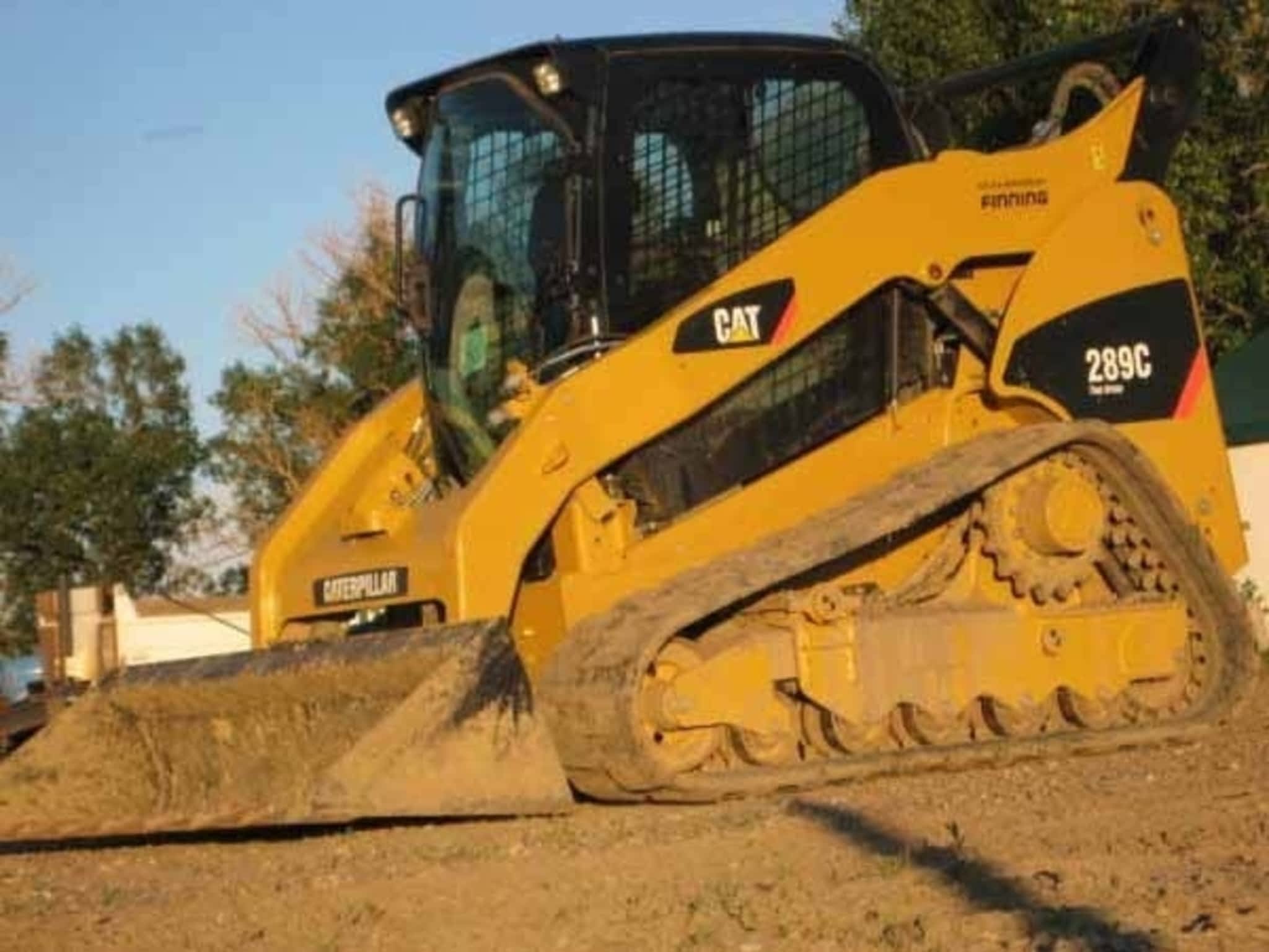 photo Elliott Cats Ltd