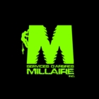Services d'Arbres Millaire Inc. - Service d'entretien d'arbres