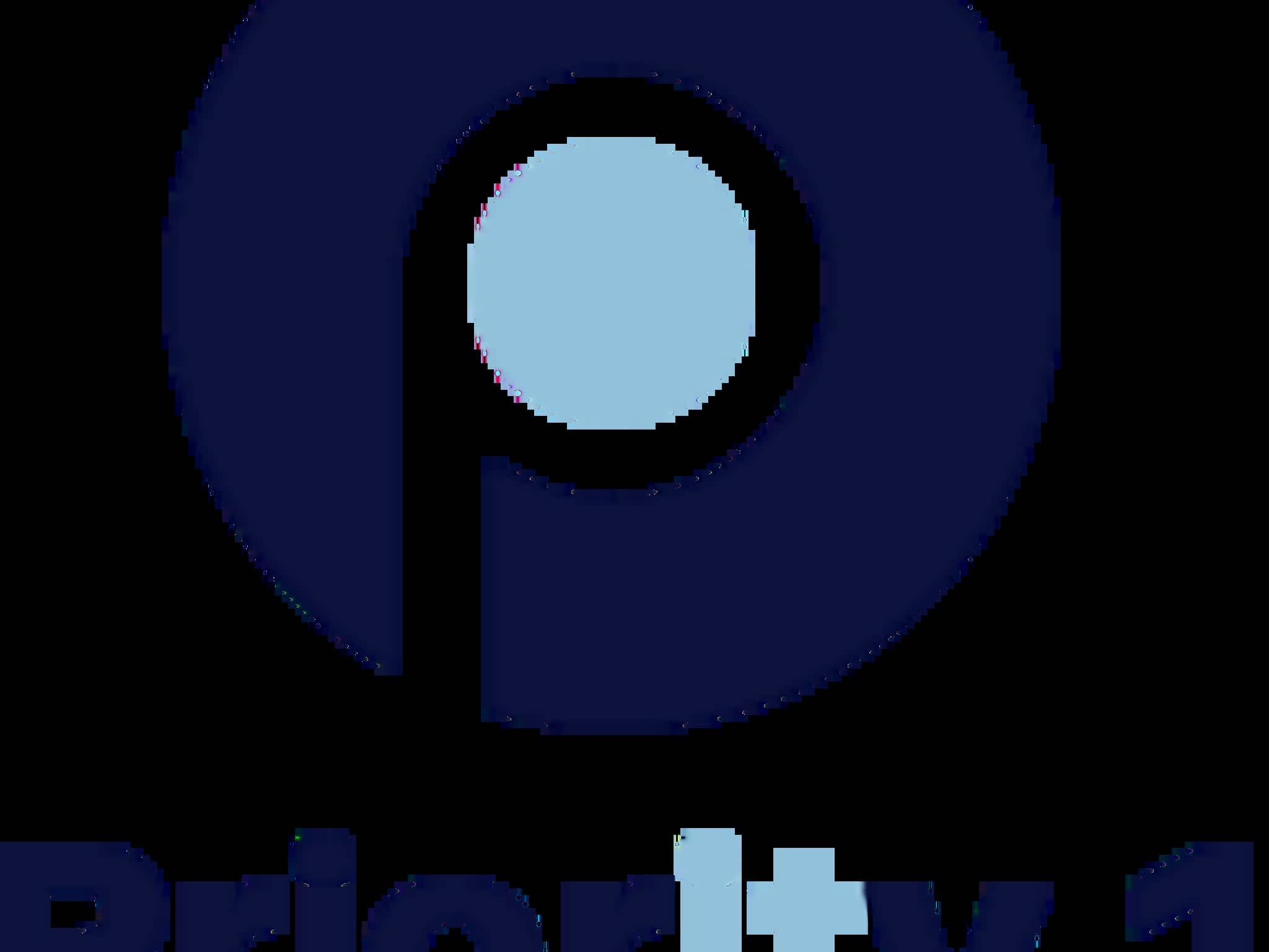 photo Priority 1 Computer Service