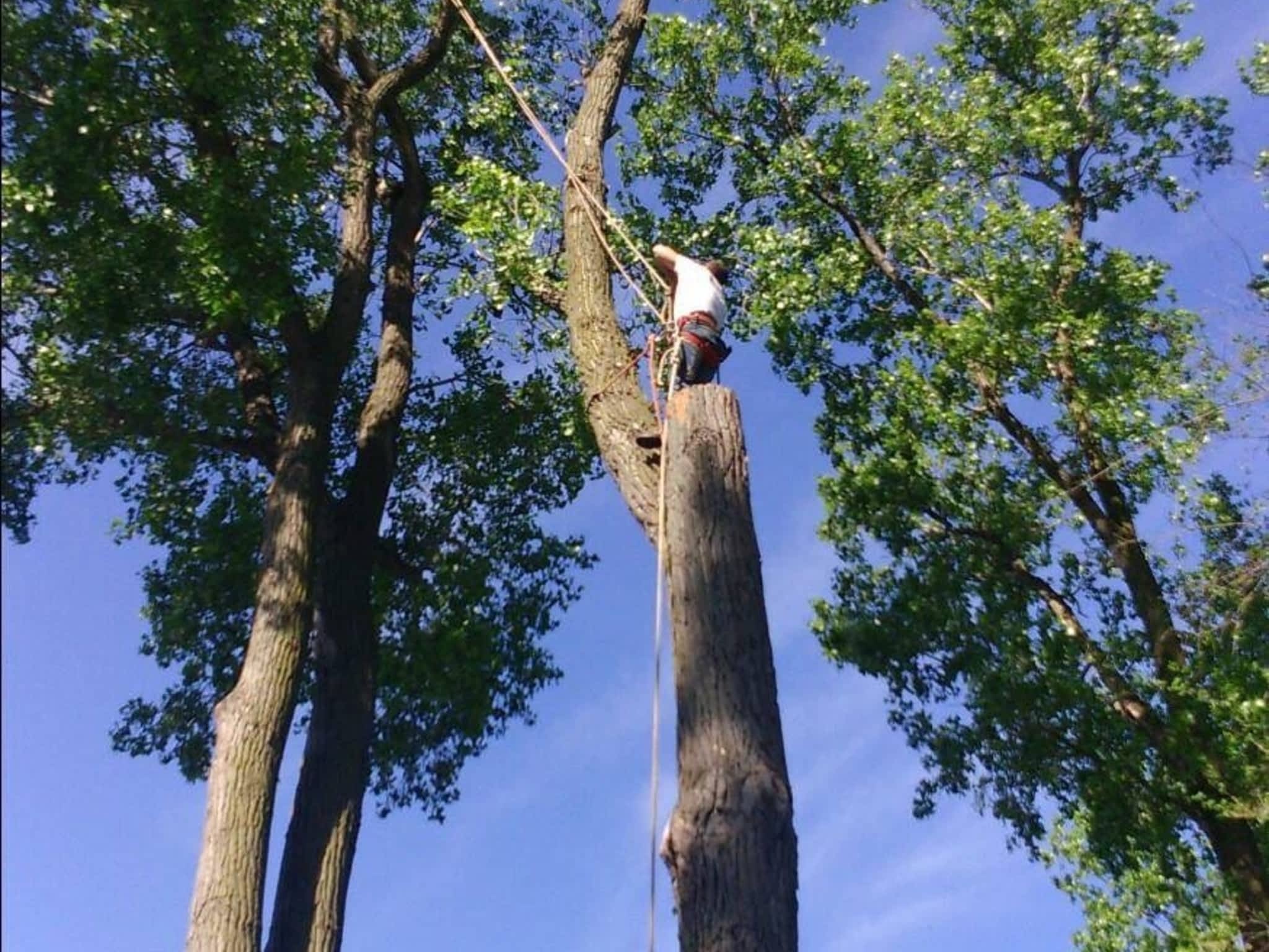 photo J R Tree Service