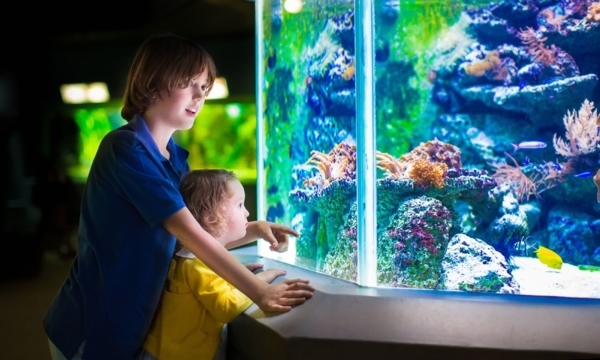 Must-see attractions for Vancouver kids