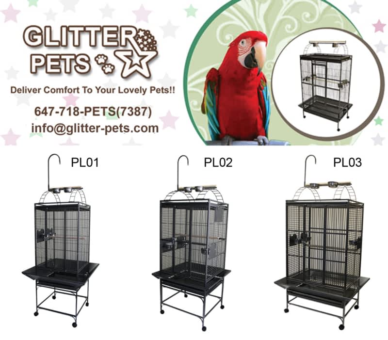 Glitter Pet Supplies Opening Hours 190 Britannia Road East