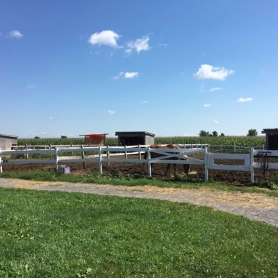 Centre Equestre Le Pré Vert - Écoles et cours d'équitation