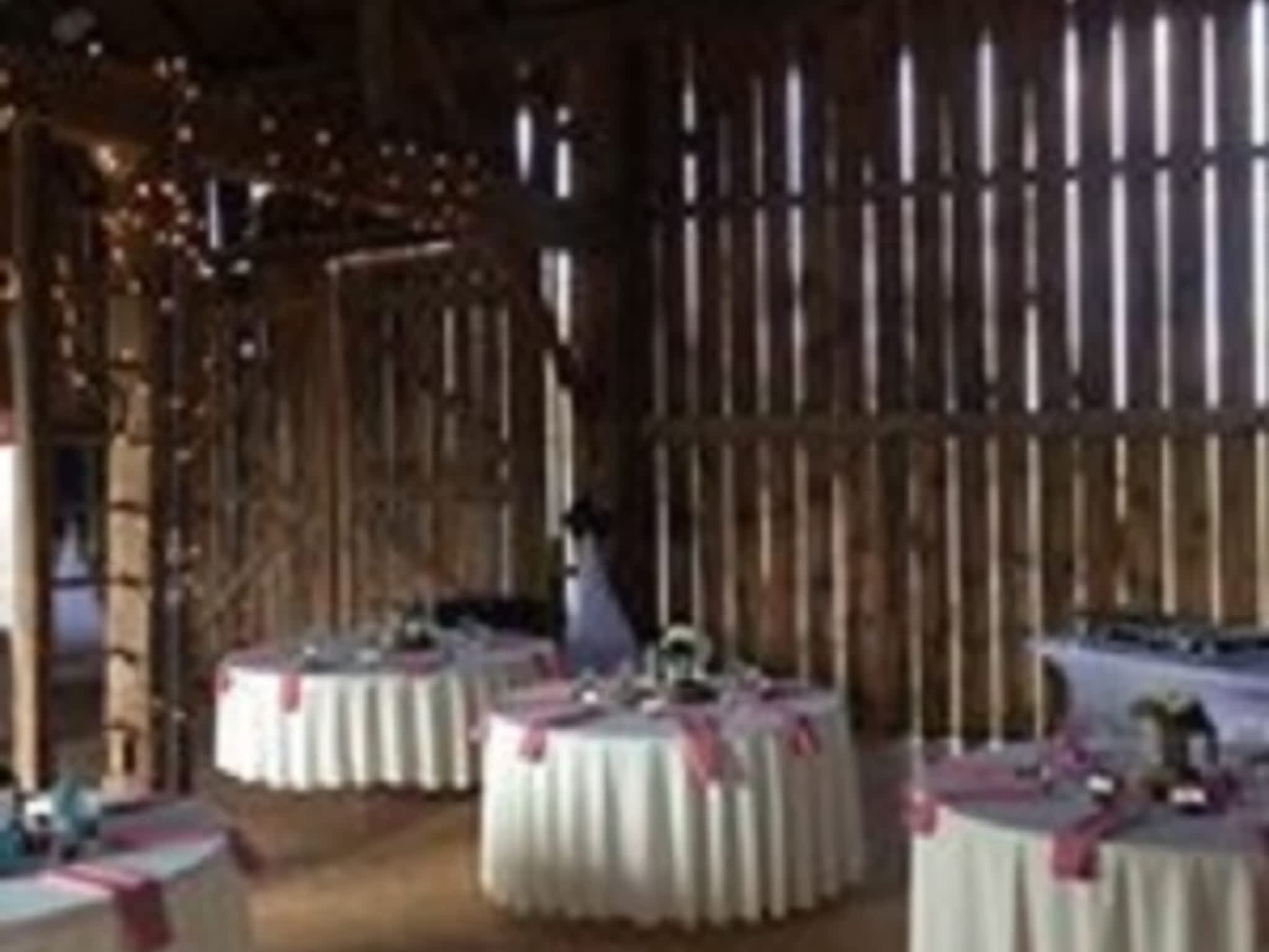 photo Brain Audio Visual