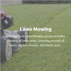 Tyler's Lawn Care/Landscape & Snow Removal - Lawn Maintenance