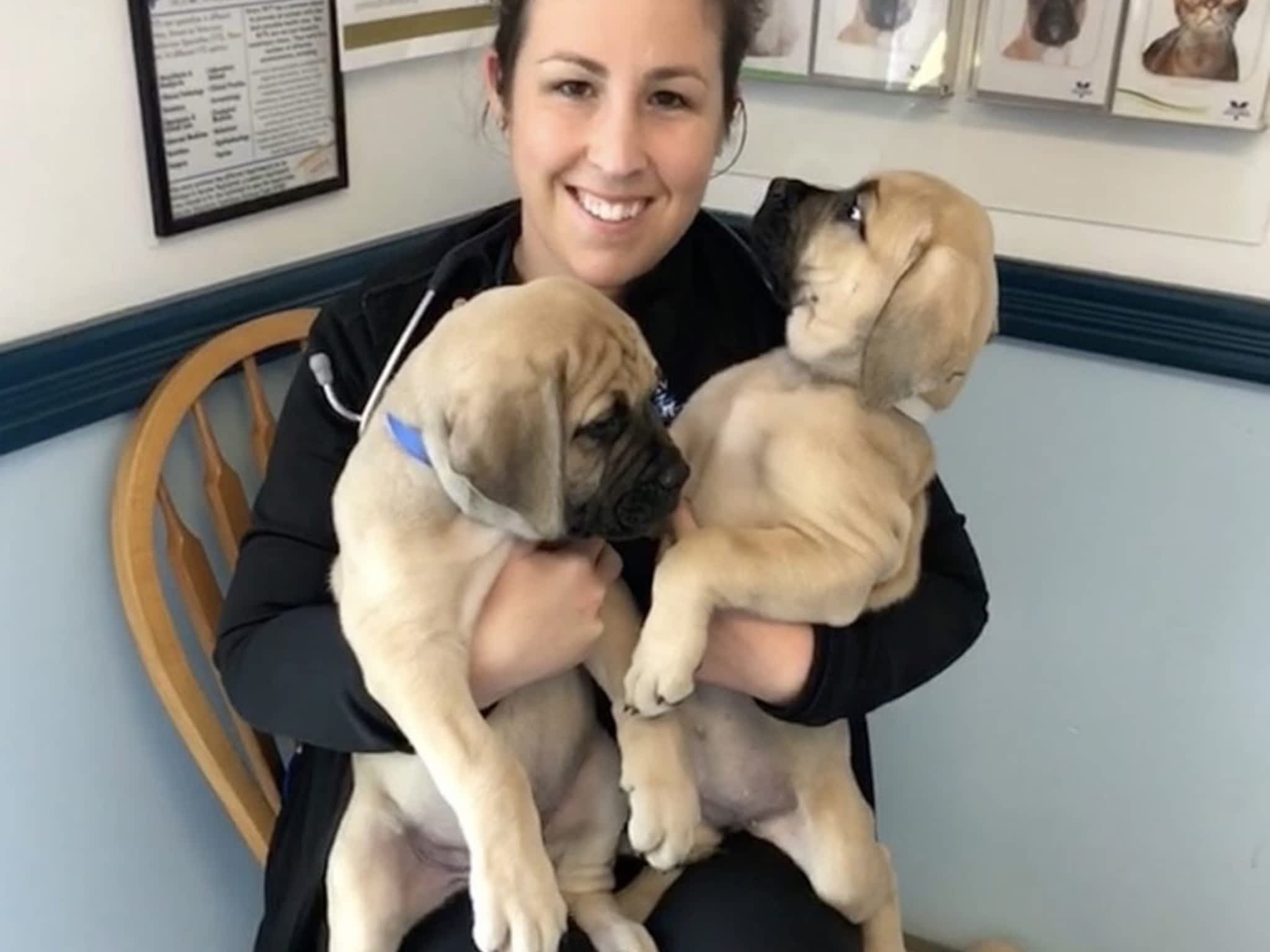 photo Cavan Hills Veterinary Services