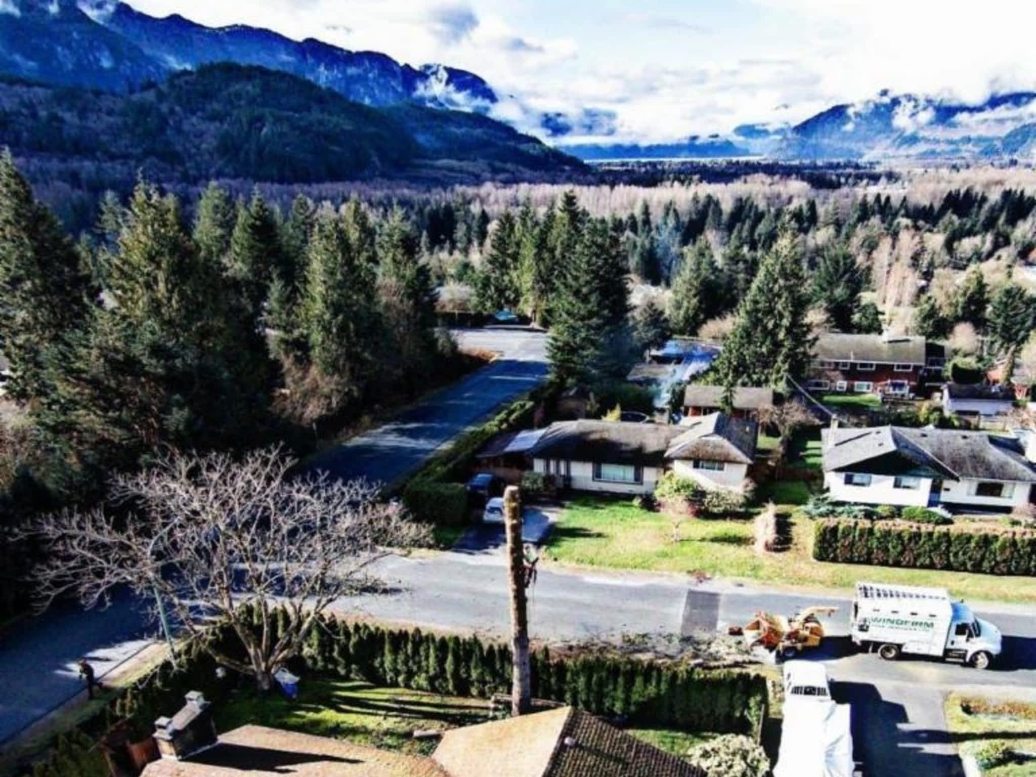 photo Windfirm Tree Services