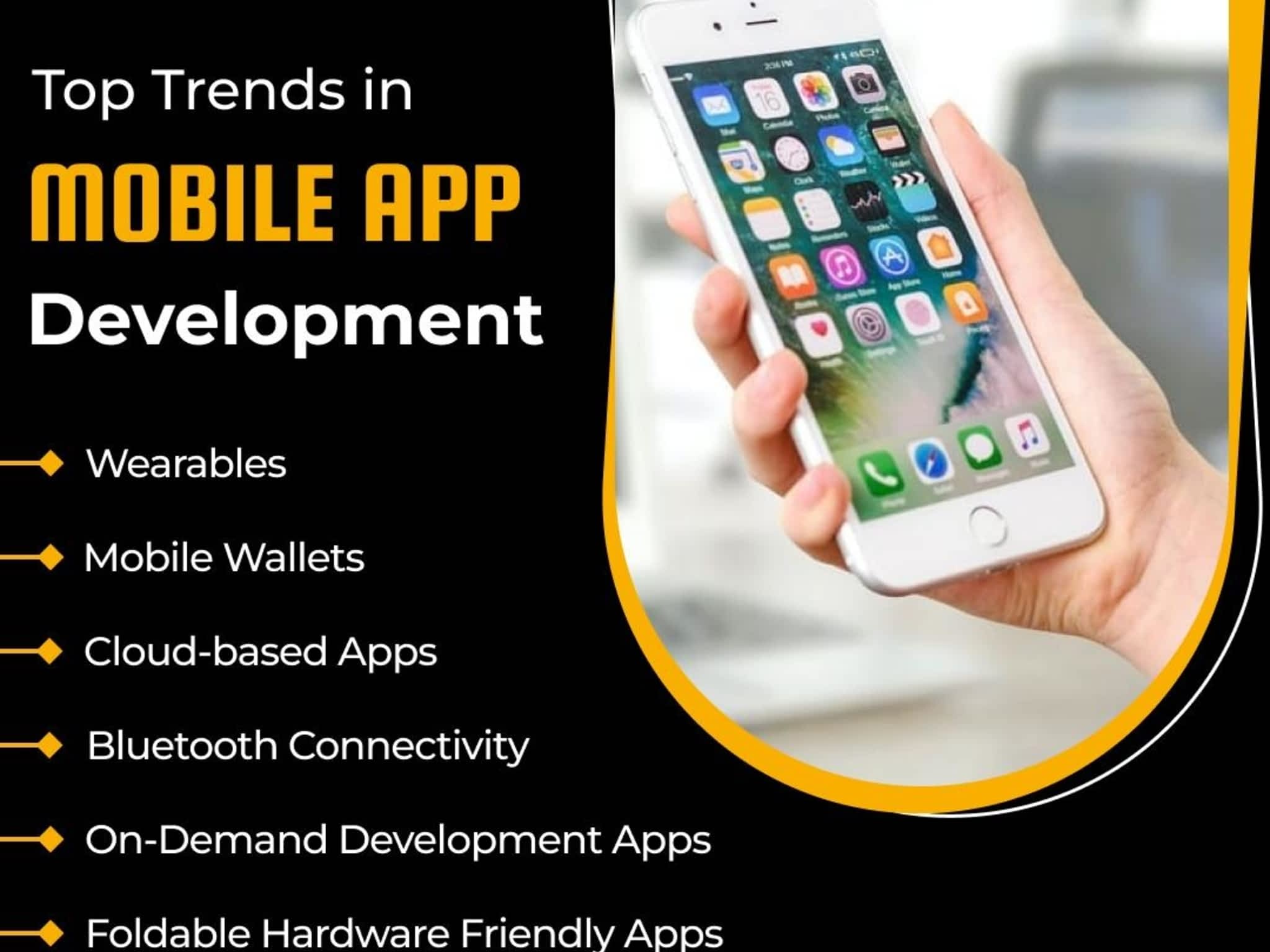 photo NetSet Software