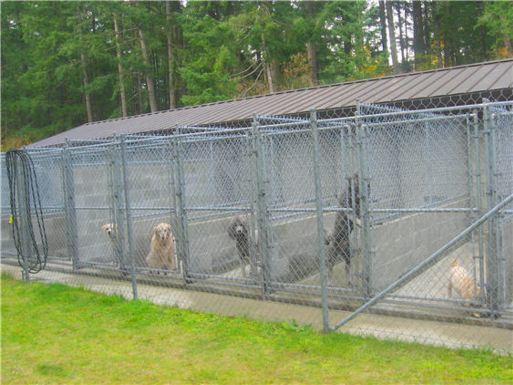 Dogwood Boarding Kennels Victoria, BC 1830 Millstream Rd Canpages