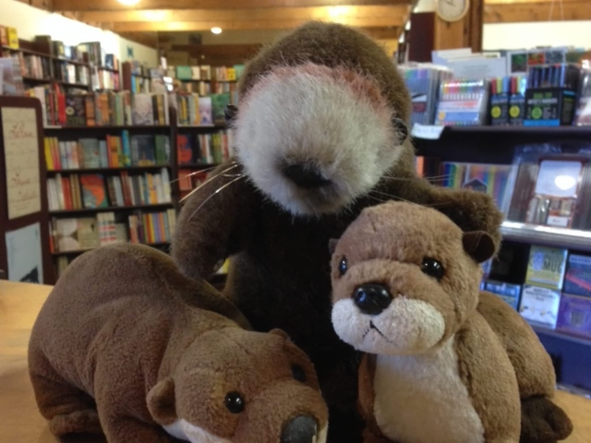 photo Otter Books Inc