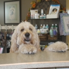 The Paw Resort & Wellness Centre