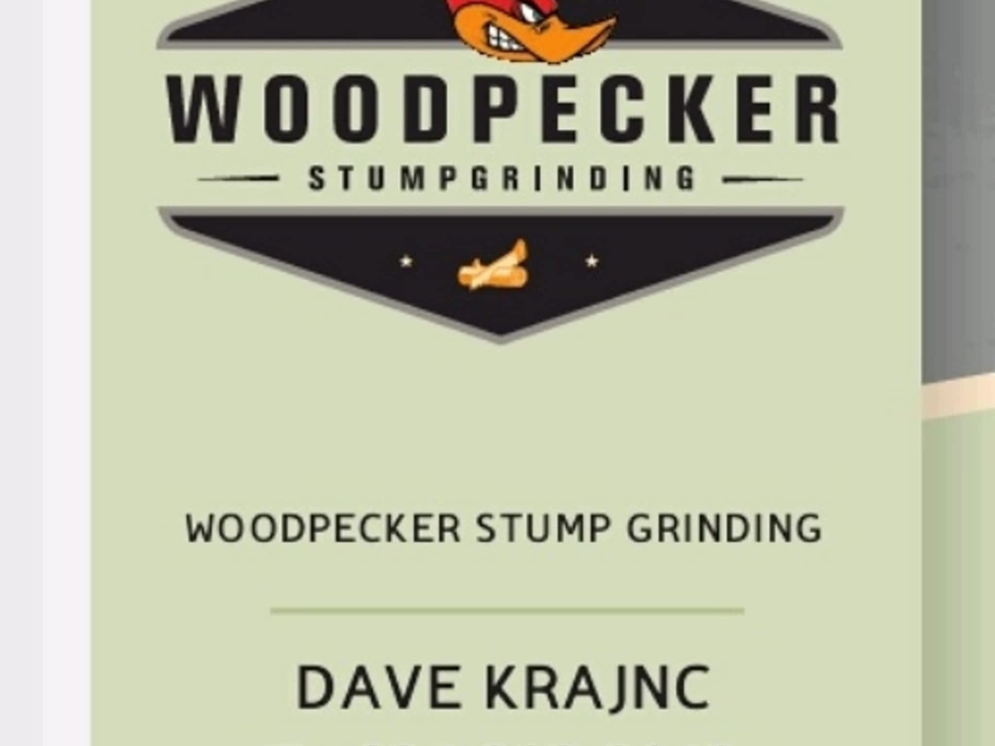 photo Woodpecker Stump Grinding