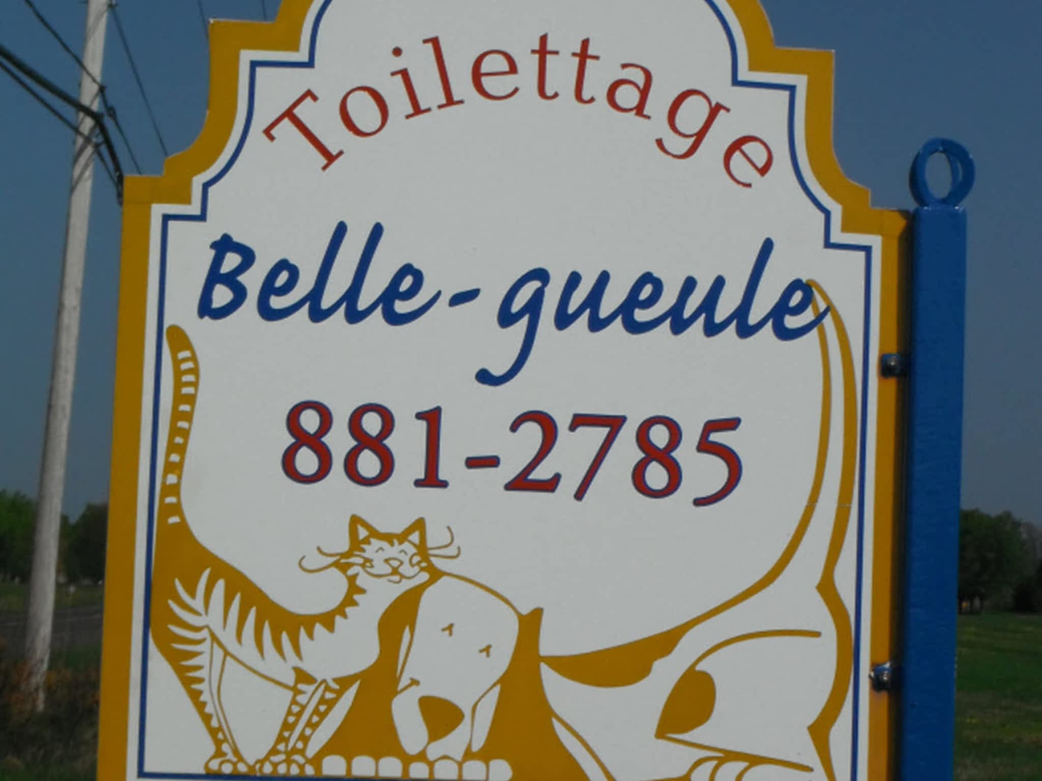 photo Salon de Toilettage Belle Gueule
