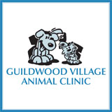 View Guildwood Village Animal Clinic’s Scarborough profile