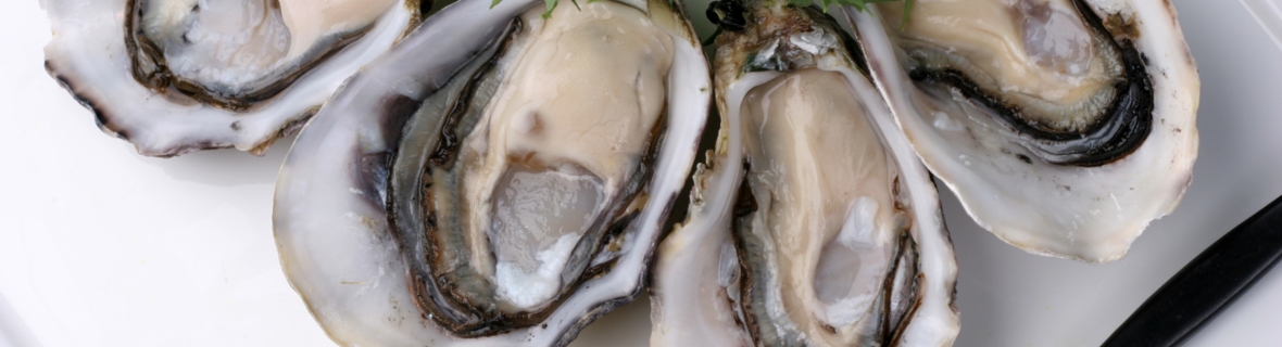 Bring your appetite to these Montreal oyster bars