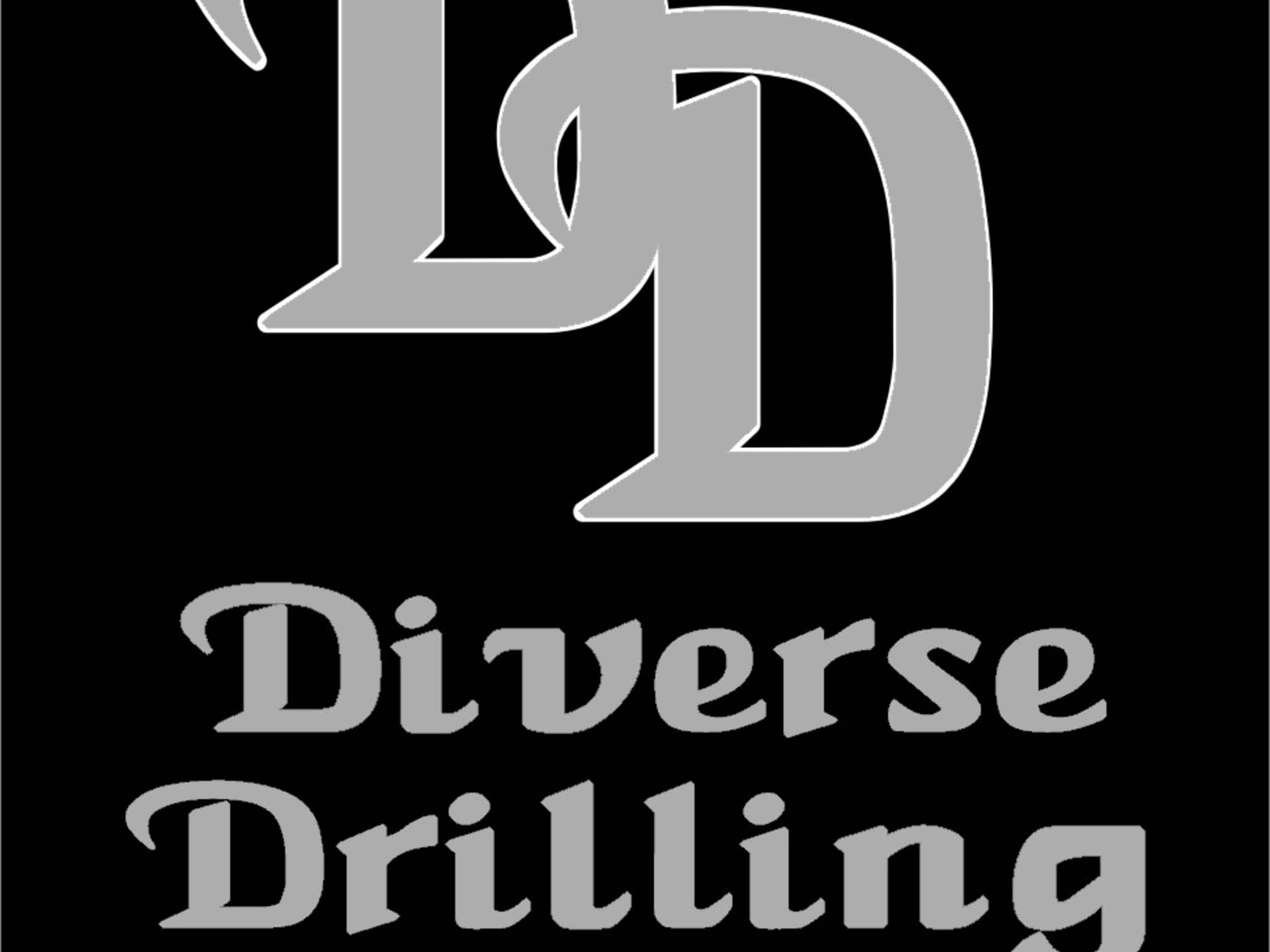 photo Diverse Drilling Ltd