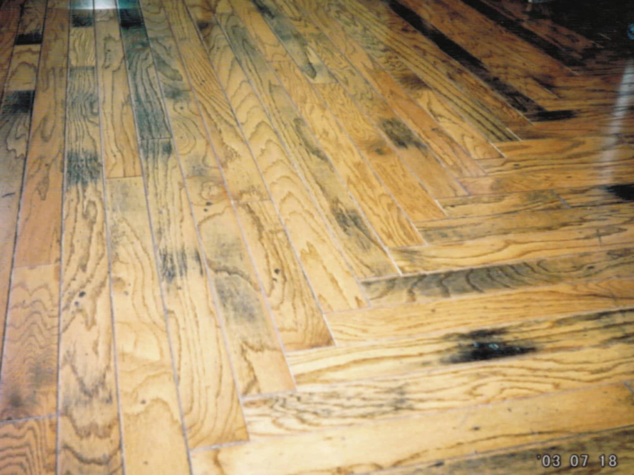 photo Azores Hardwood Flooring Inc