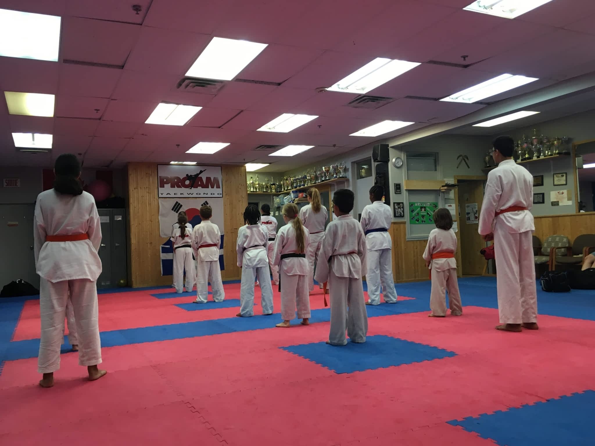 photo Pro-Am Taekwondo