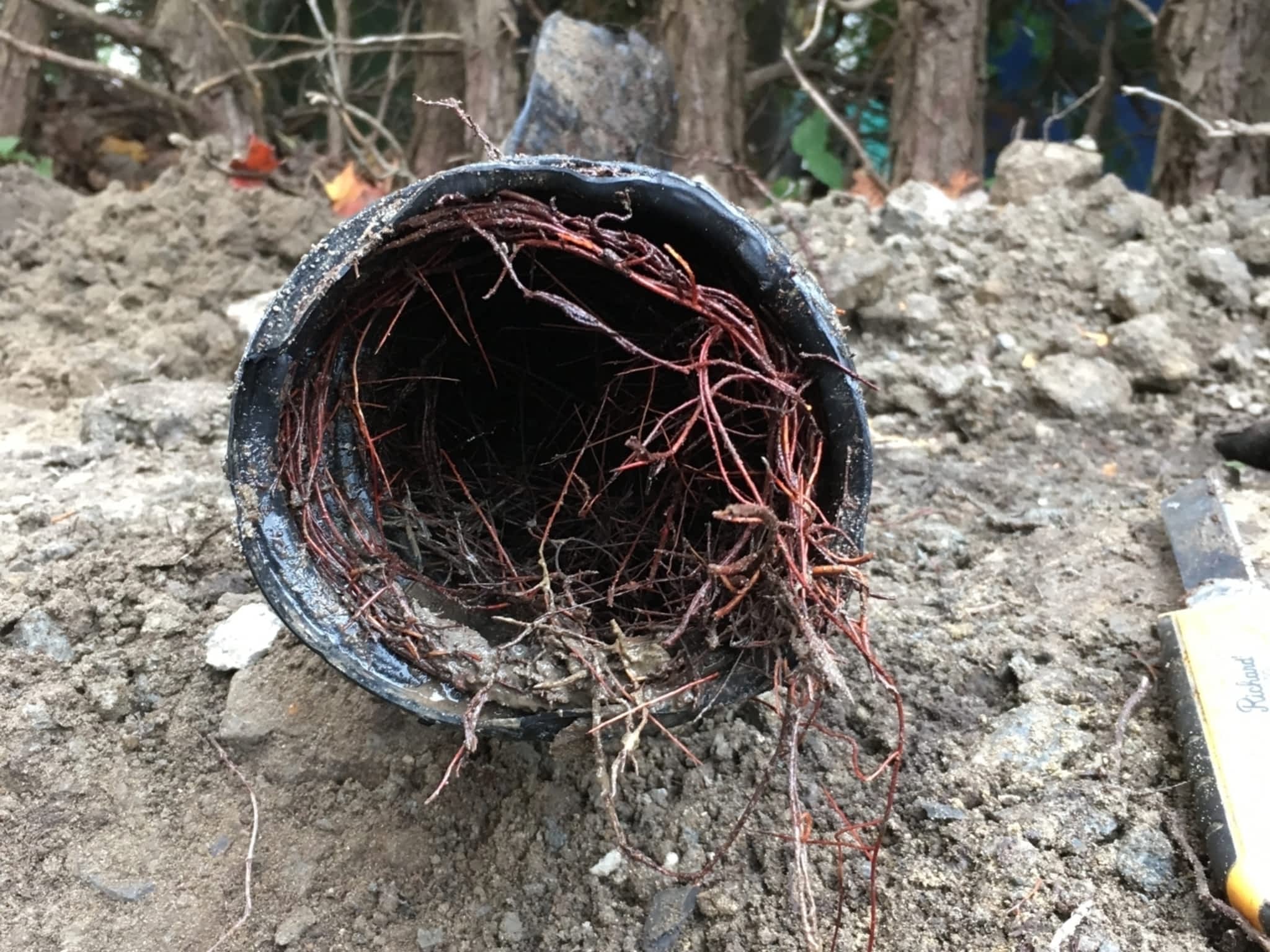 photo EPL Mini-Excavation inc.