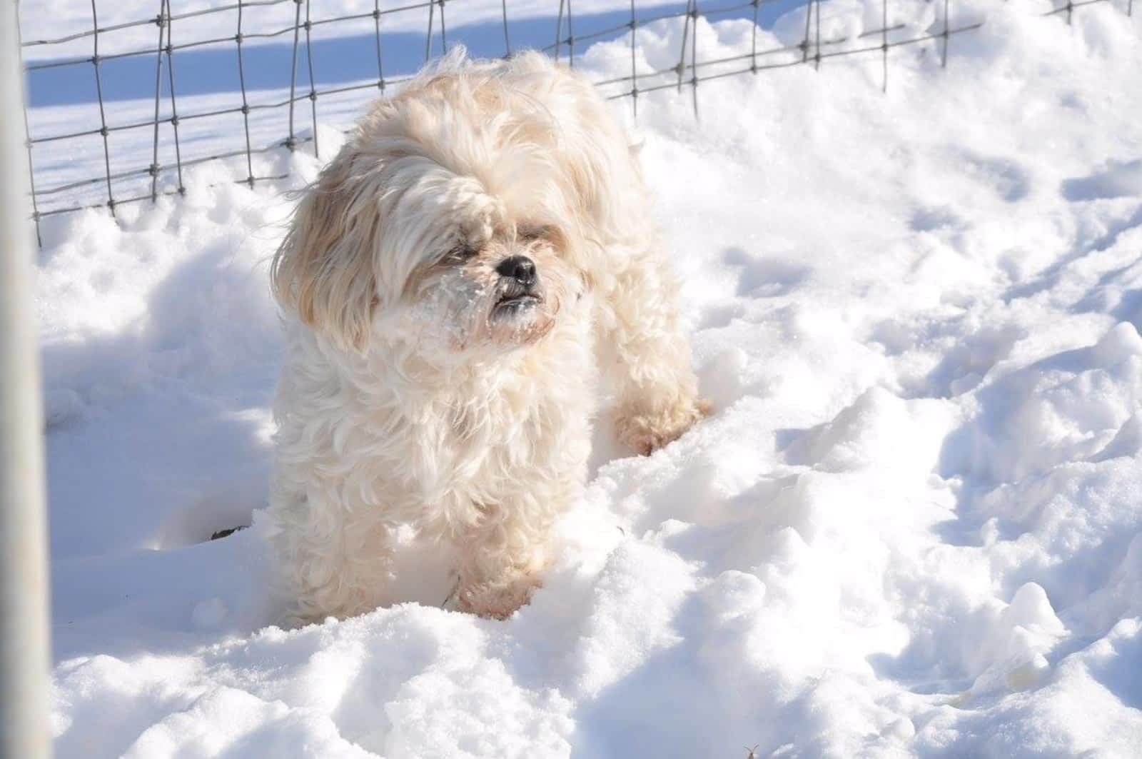 second home boarding