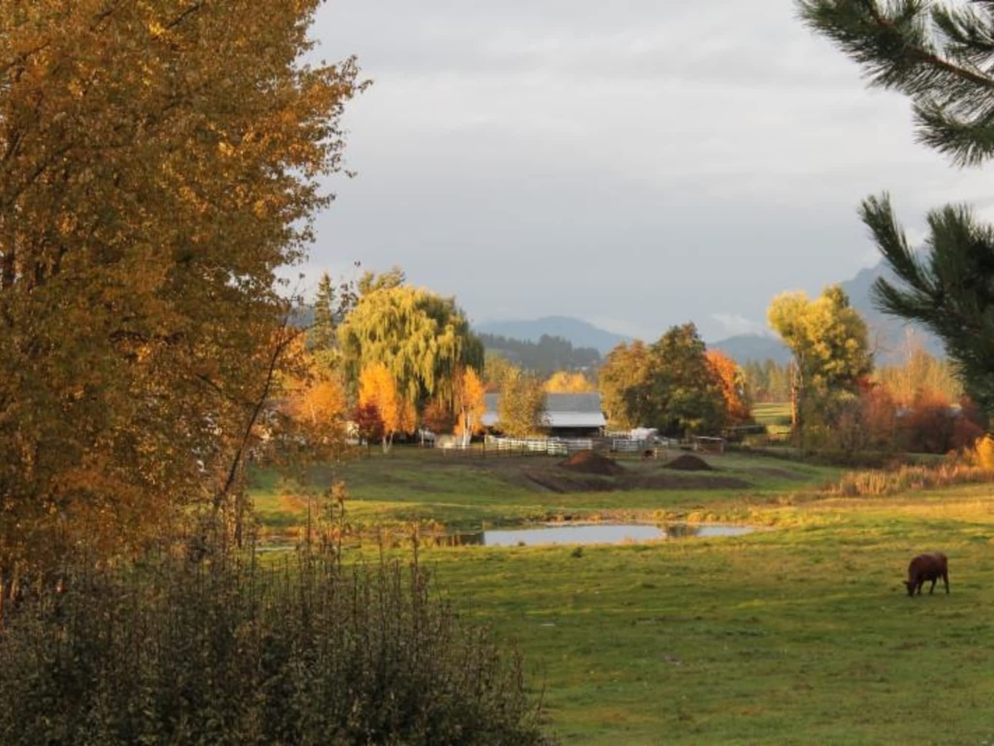 photo Dr Lisa Scharf