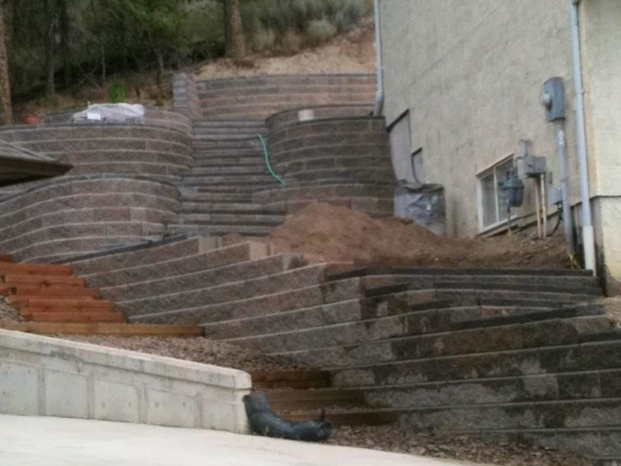 photo Evolutionary Wallscape