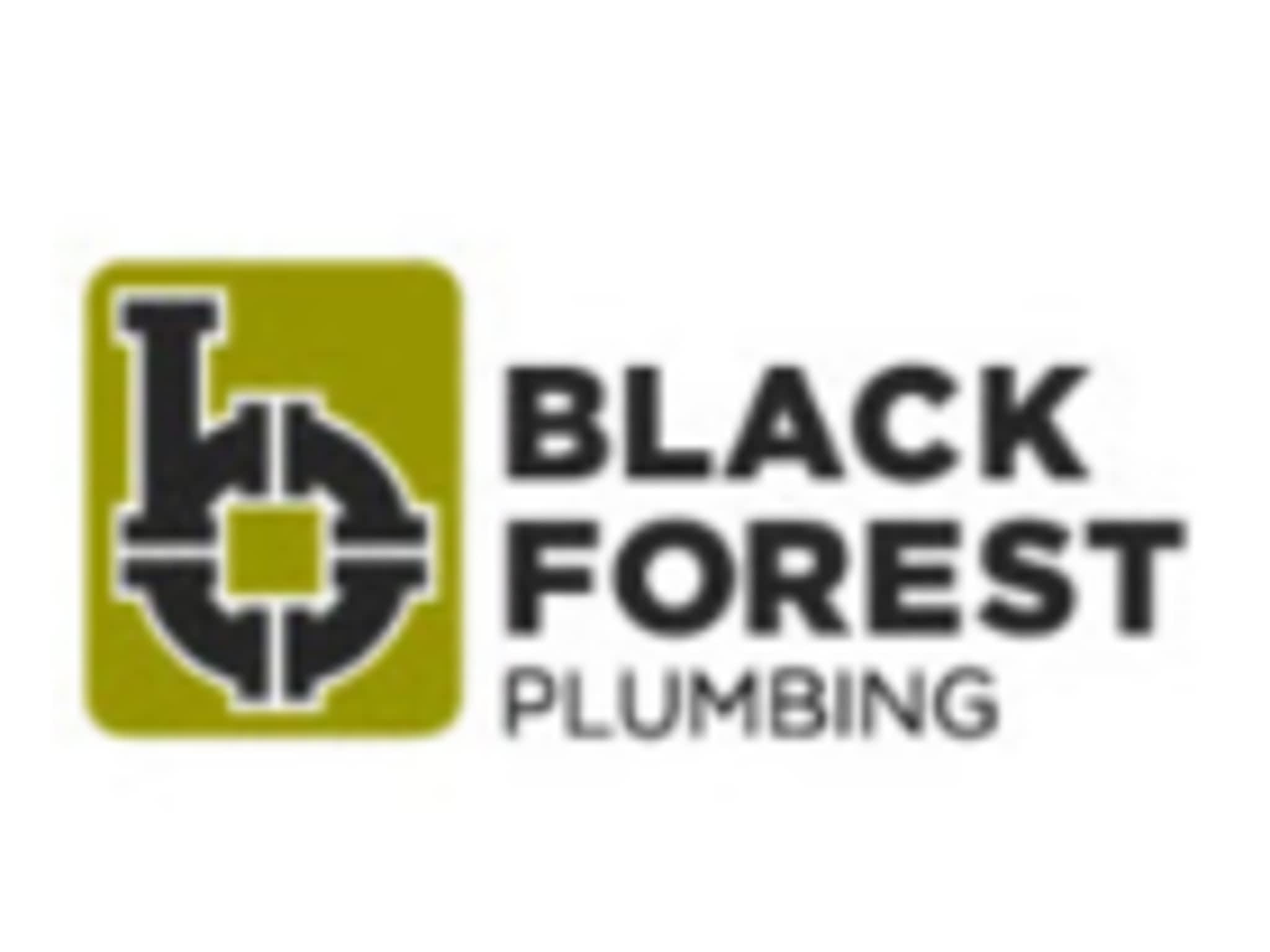 photo Black Forest Plumbing Inc