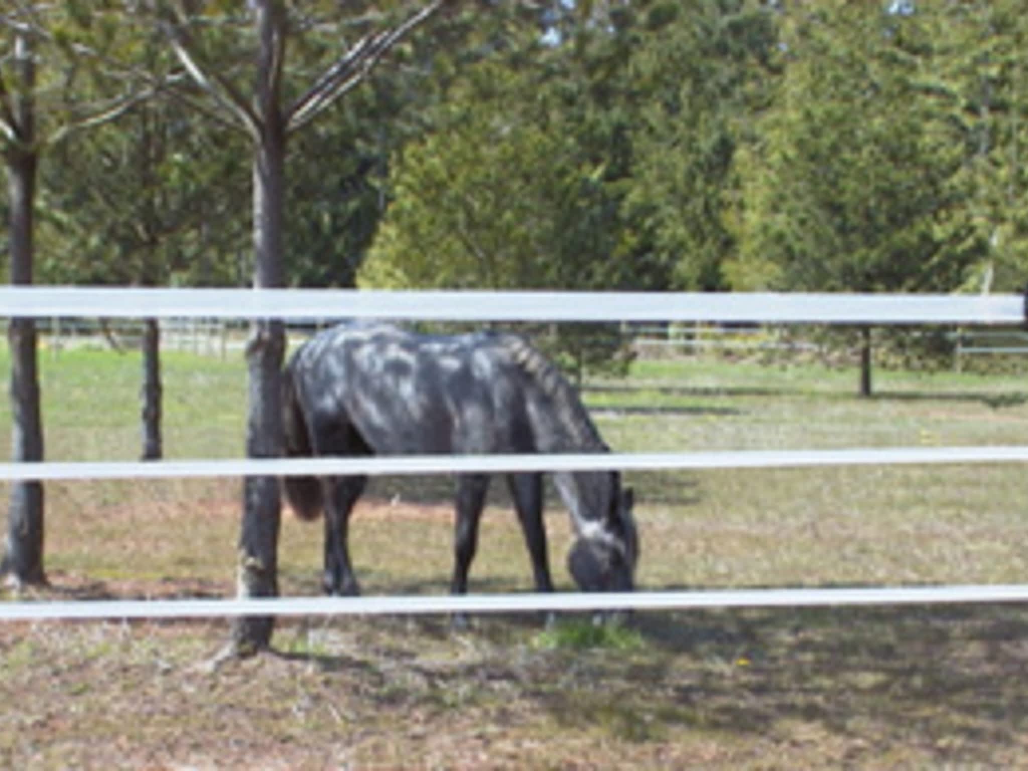 photo Ferris Farms & Fencing