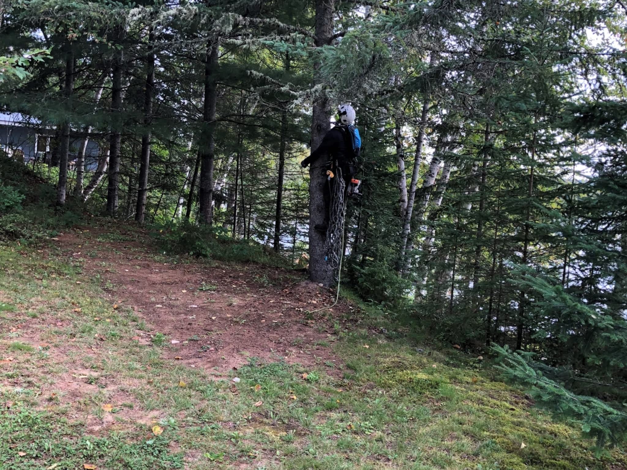 photo Arbo-douceur inc