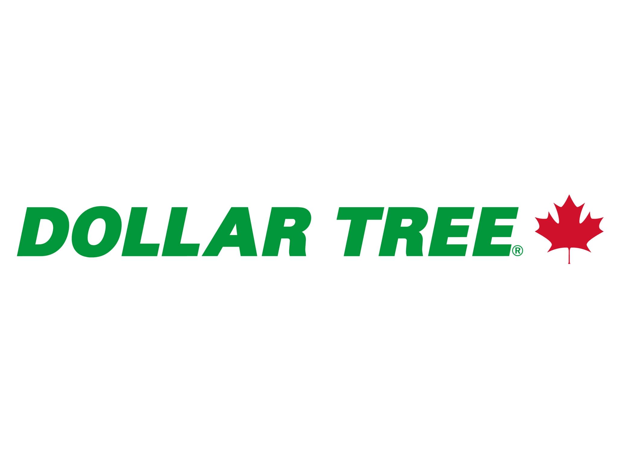 photo Dollar Tree