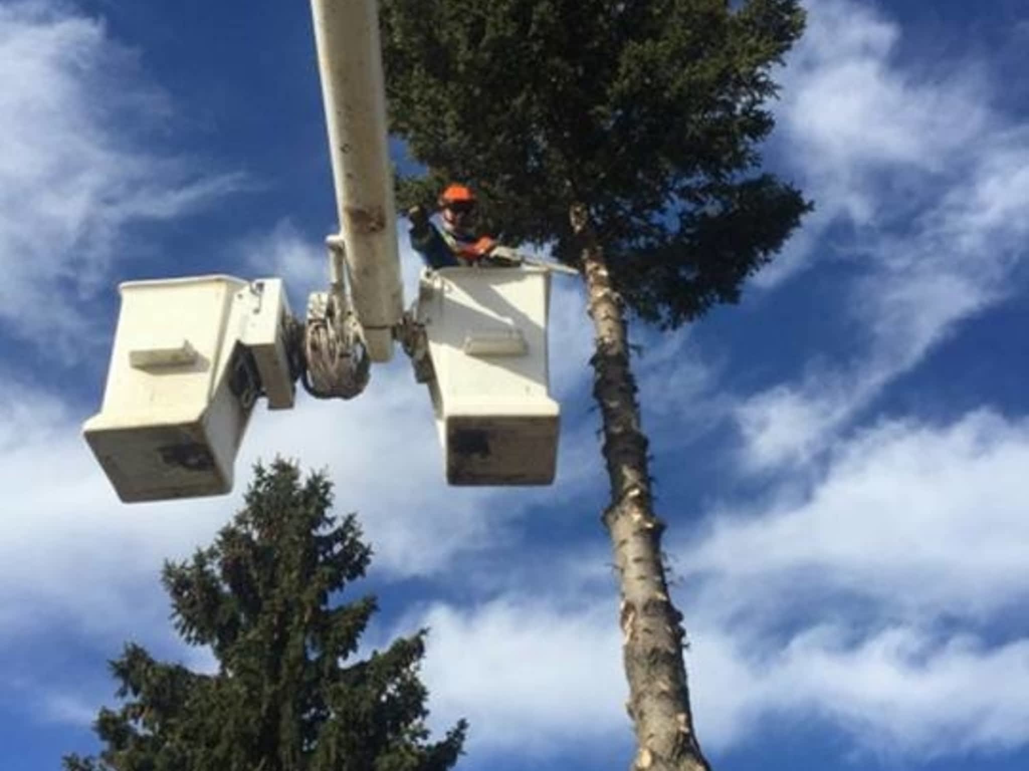 photo Borderline Services Ltd