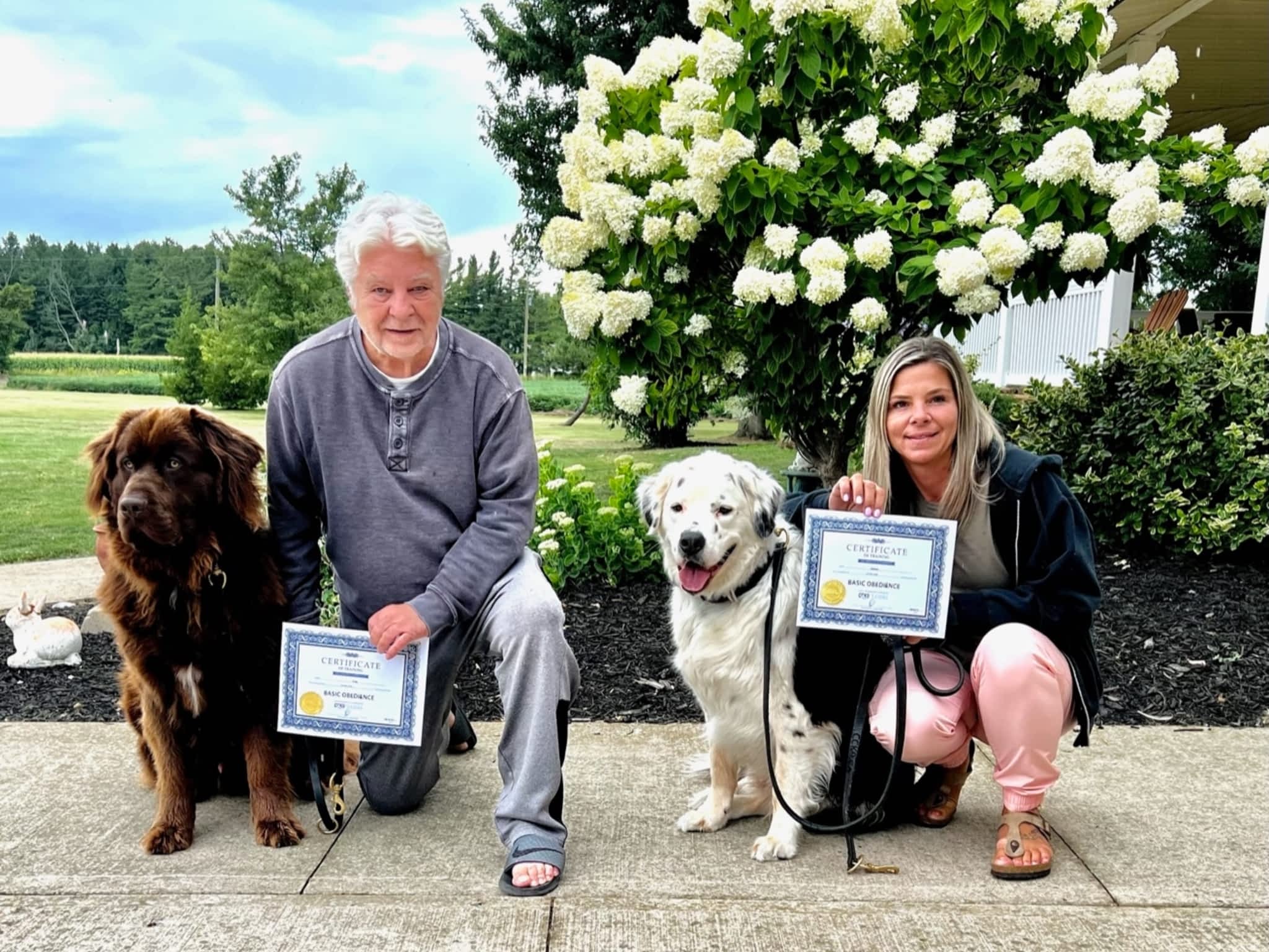 photo Command Control K-9