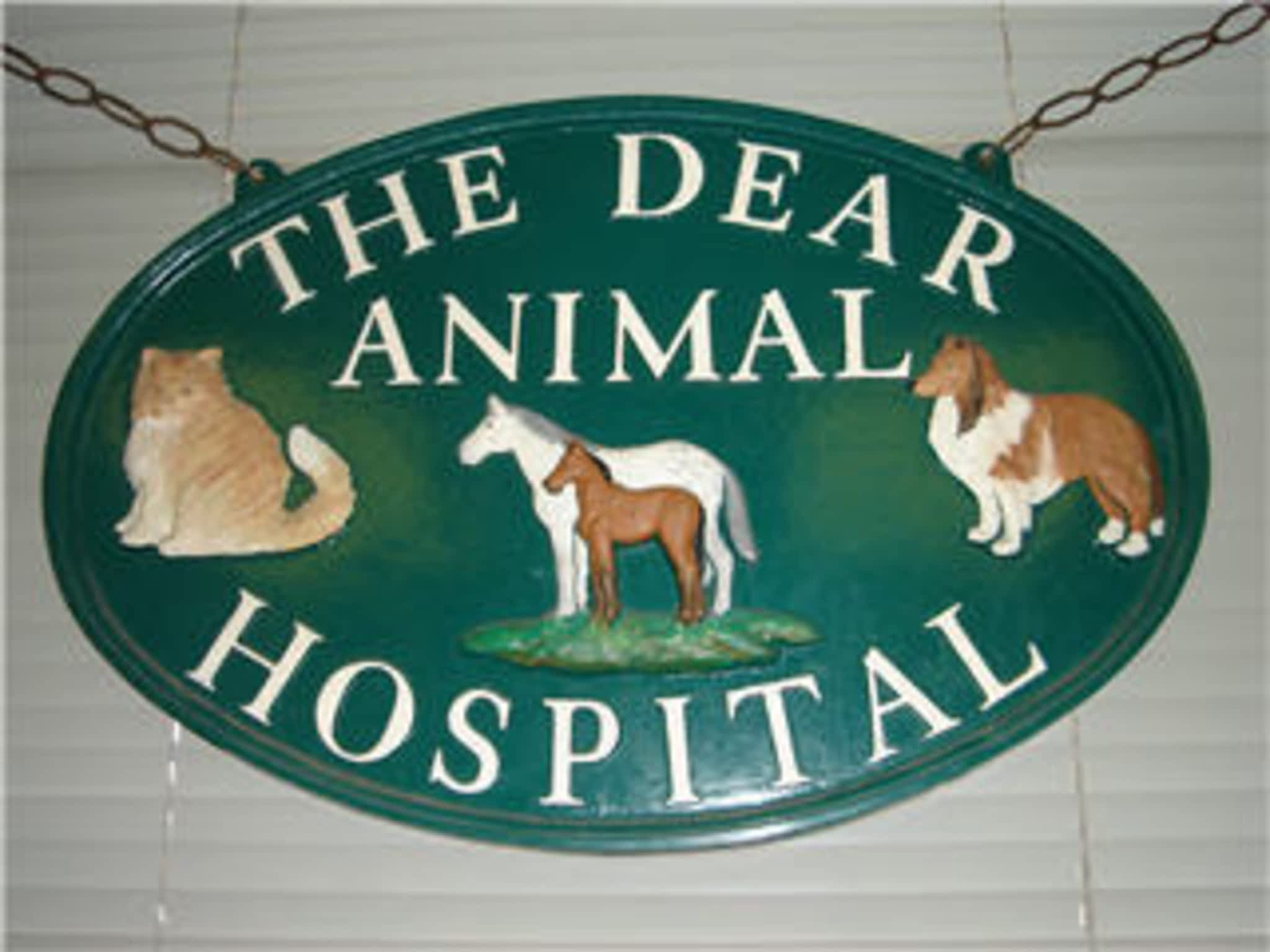 photo The Dear Animal Hospital