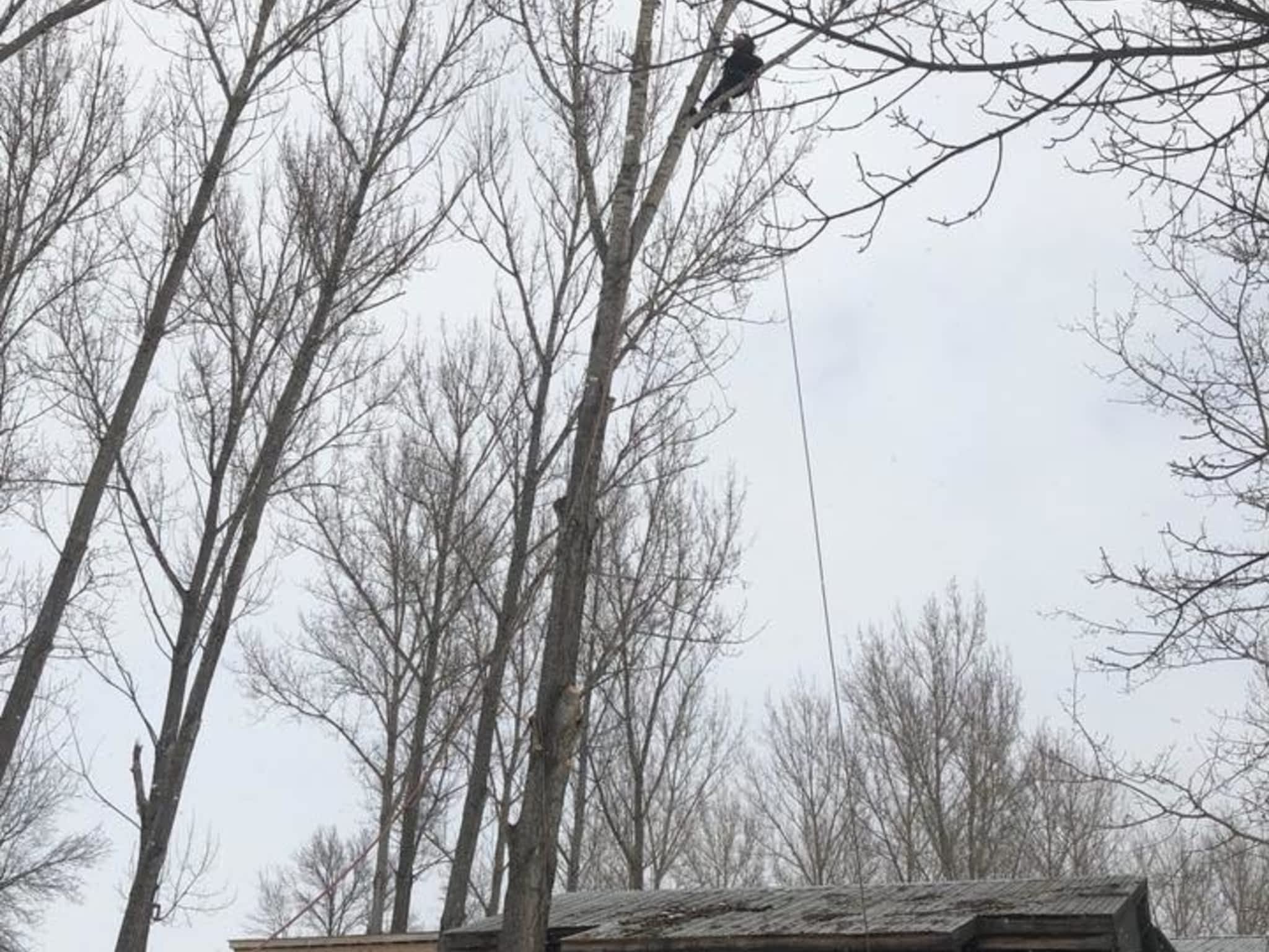 photo Emondage Patrick Perron