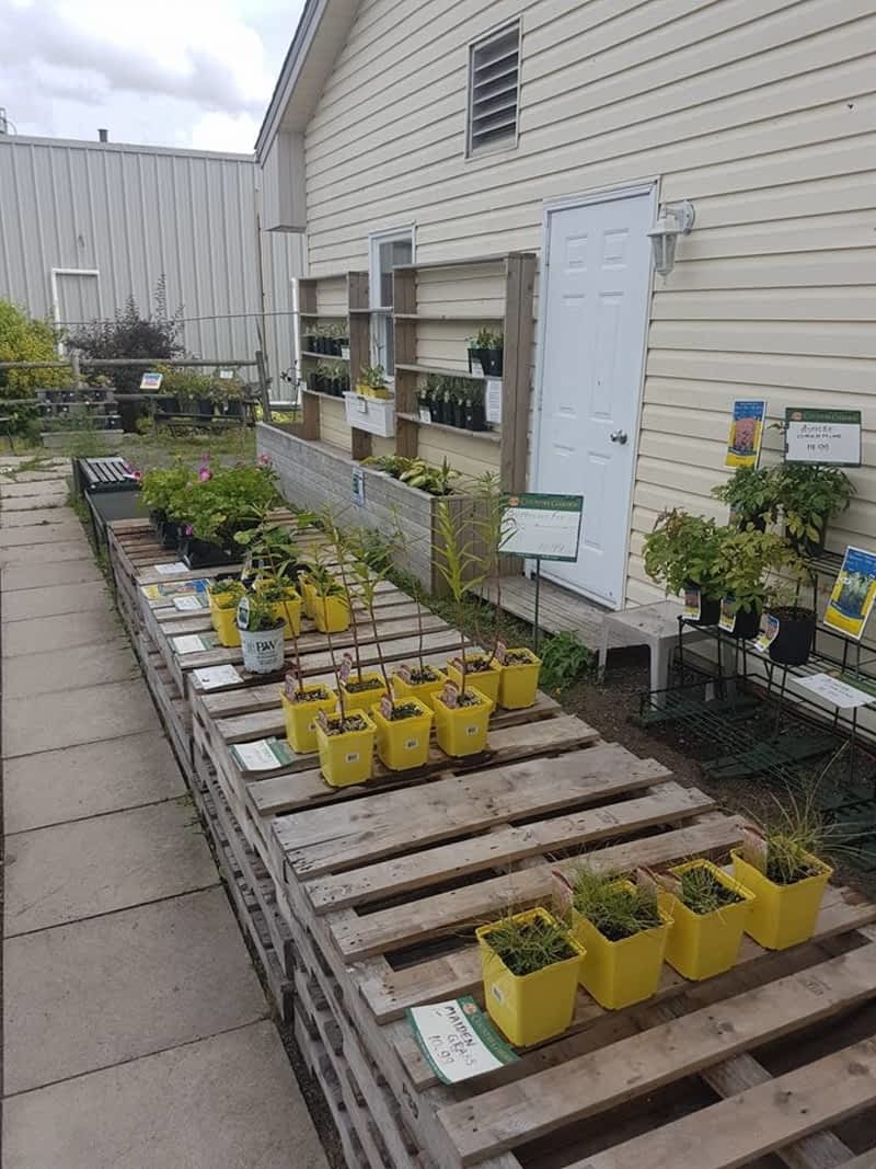 Car Dealers Toronto >> Co-op Country Store - Moncton, NB - 200 Collishaw St ... Car Dealers Toronto >> Co-op Country Store - Moncton, NB - 200 Collishaw St ...