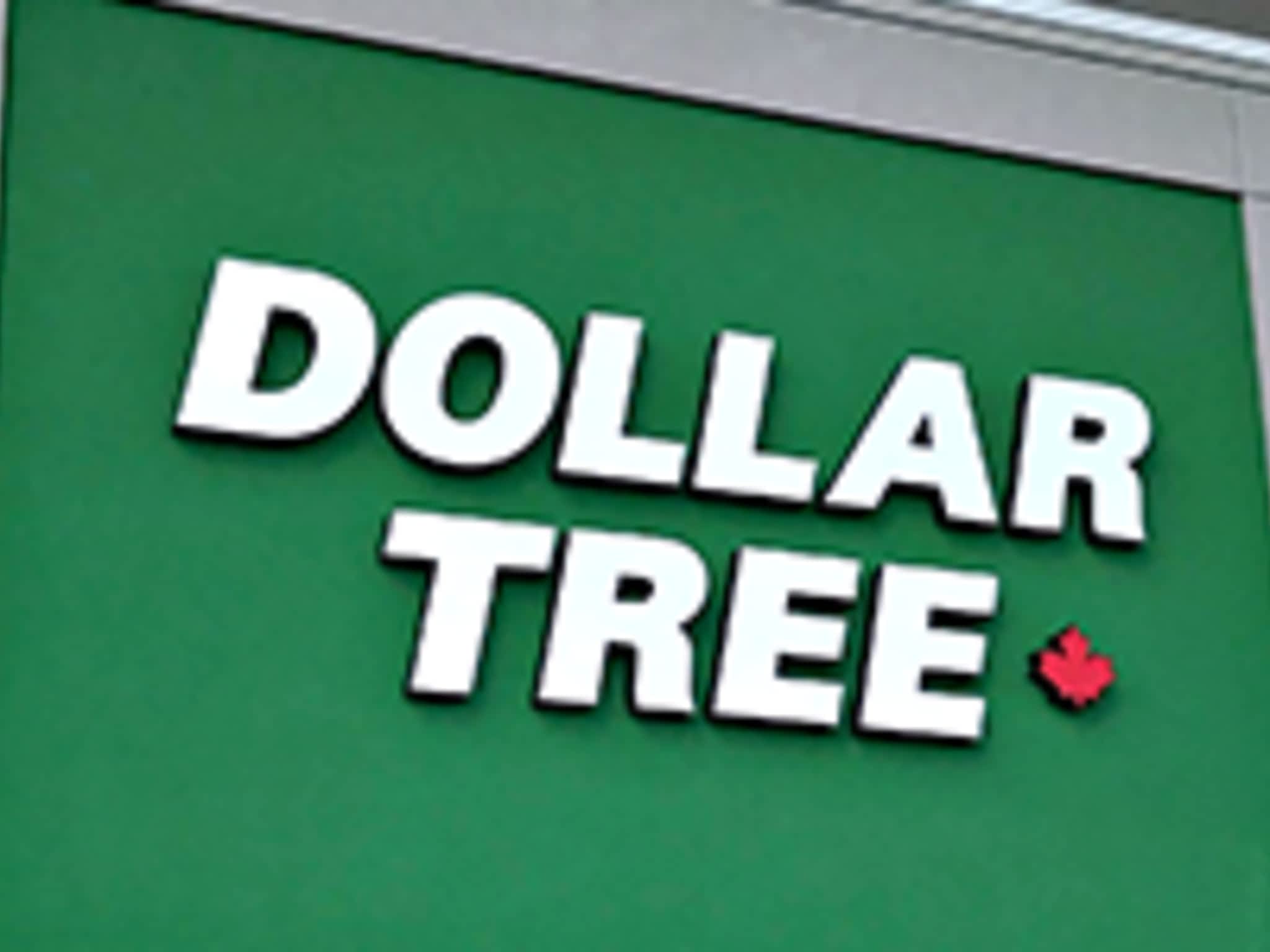 photo Dollar Tree