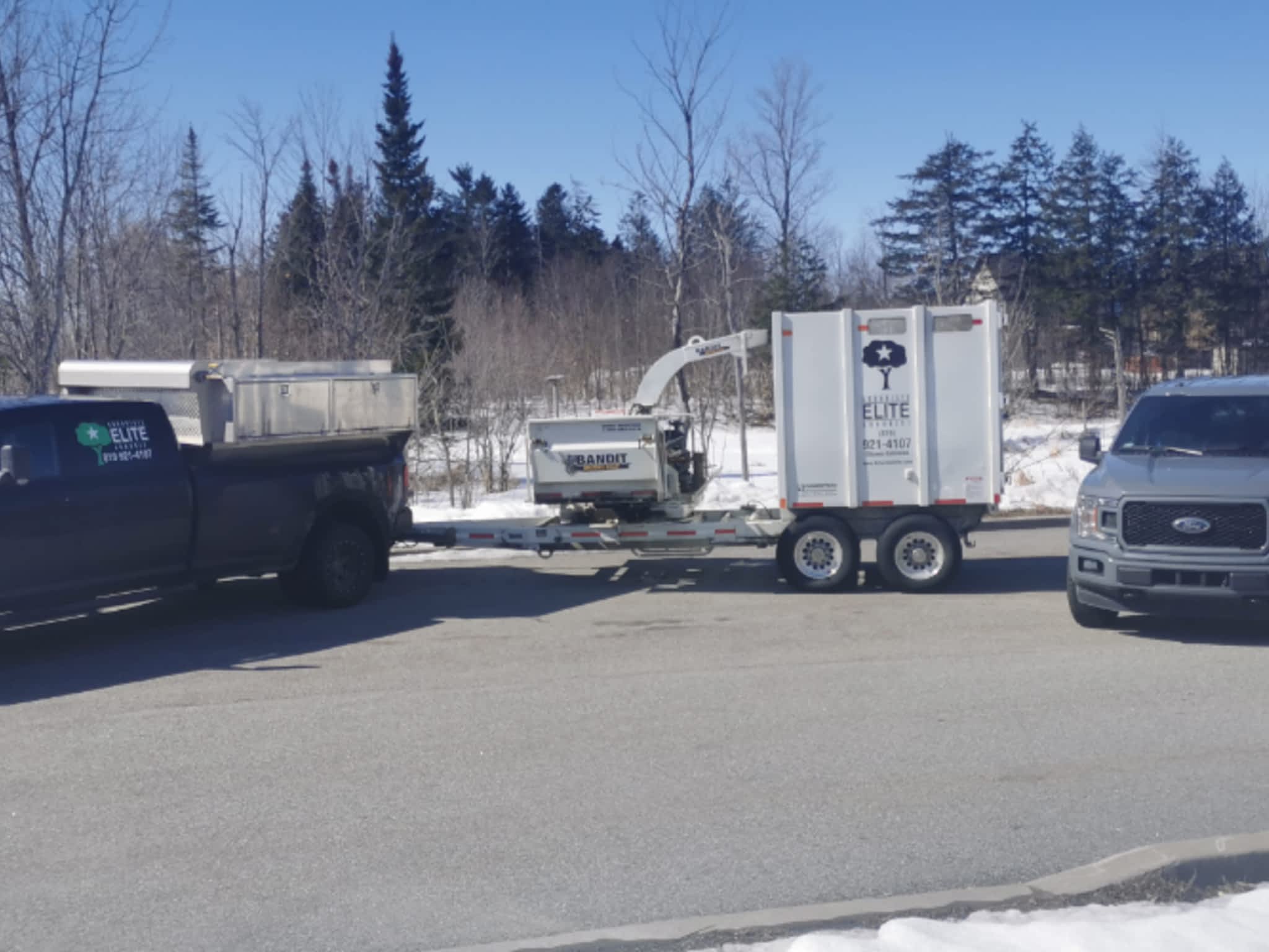 photo Arboriste Elite